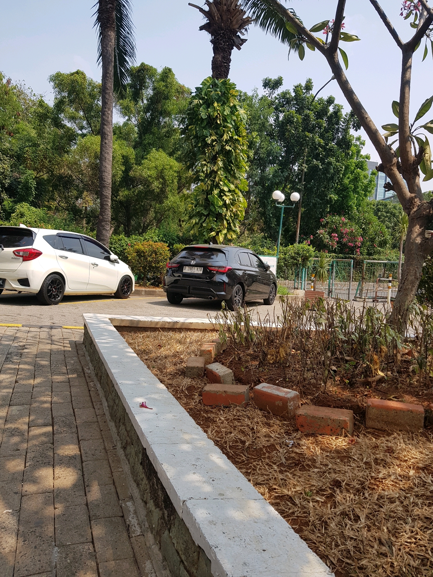 In Central Jakarta, Indonesia, a white hatchback and a black hatchback are parked on a paved surface. The white hatchback is on the left, and the black hatchback is on the right. Both cars are facing away from the viewer, with their rear ends visible. The scene is set against a backdrop of lush green trees and foliage, with a clear blue sky overhead. A light post with two lamps is visible in the middle ground. The foreground features a paved walkway made of bricks, with a low white concrete wall separating it from a patch of dry grass and scattered red bricks. A single red flower petal rests on the white wall. The overall impression is one of an urban outdoor space, possibly a park or parking lot, bathed in sunlight.