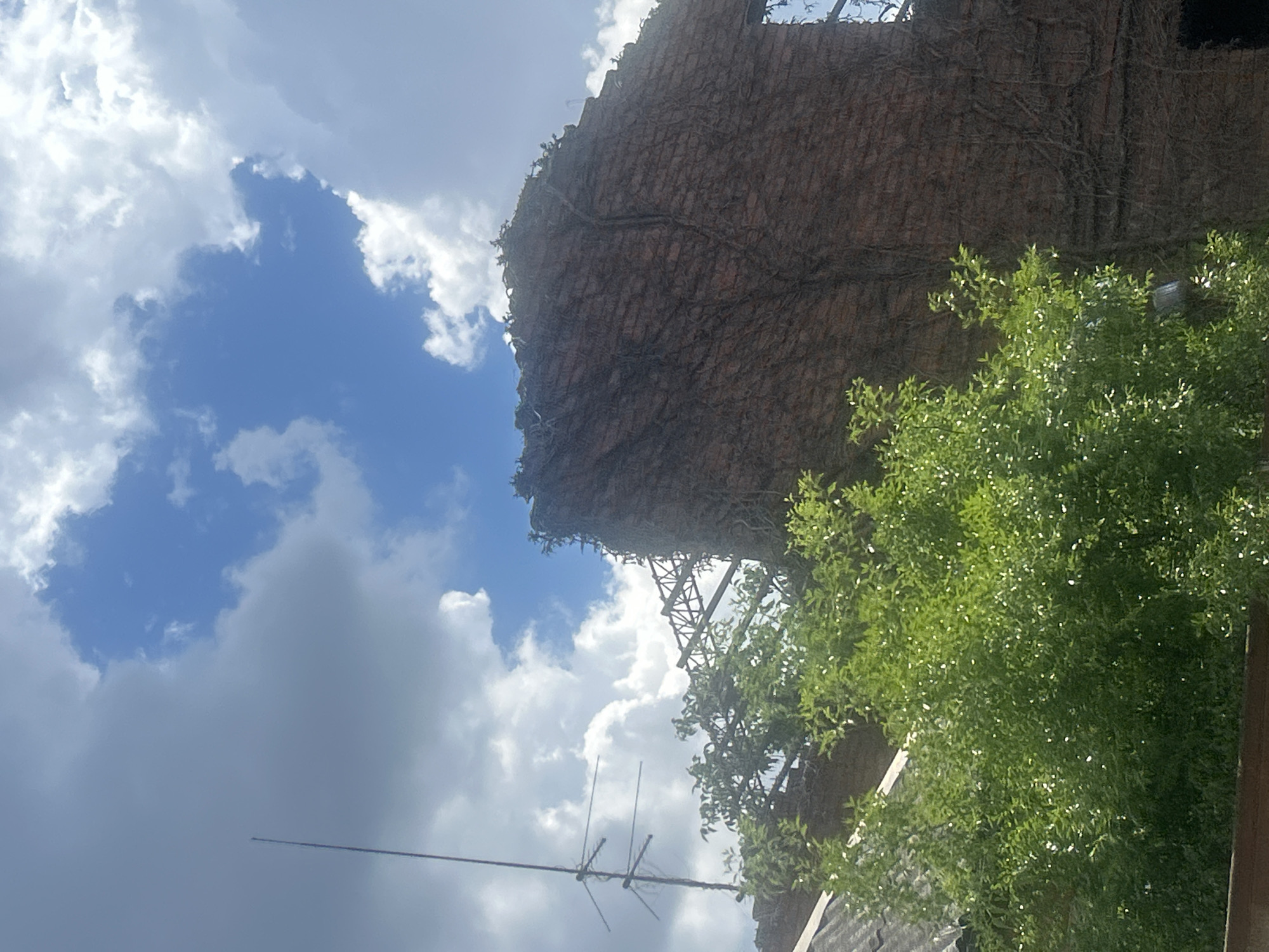 This media file features an outdoor scene dominated by a building covered in ivy, set against a backdrop of a bright blue sky with scattered clouds. The building appears to be an old brick structure, possibly abandoned or undergoing renovation, as indicated by its weathered facade and the presence of visible scaffolding near the top.
In the foreground, lush green foliage from a tree partially obscures the lower portion of the building. A prominent object in the lower part of the image is a television antenna, suggesting the presence of residential or communication infrastructure. The sky indicates daytime, likely late morning or afternoon, with the sun casting bright light on the scene. The weather appears fair, with mostly clear skies and fluffy white clouds, though some darker, heavier clouds are also visible, hinting at potential changes in the weather.
The perspective is from a low angle, looking upwards towards the building and sky. The orientation of the image is rotated, making it appear as if the building is leaning. The overall impression is one of a slightly dishevelled but naturalistic urban or suburban environment, where nature is reclaiming man-made structures. No people are visible in the frame, and there is no visible text. The scene evokes a sense of timelessness and quiet decay, with the vibrant greenery offering a stark contrast to the aging brickwork.
