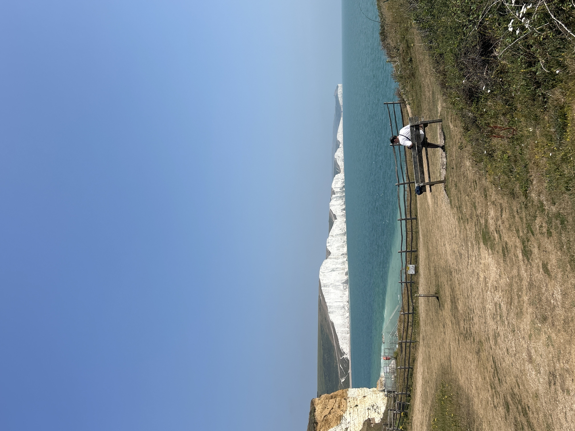 The image depicts a scenic coastal view of the Seven Sisters cliffs in Seaford, United Kingdom. In the foreground, a wooden bench sits on dry, brown grass, facing the sea. A person is seated on the bench, facing away from the camera, wearing a white t-shirt and dark shorts, with a black hat. A wooden fence runs along the edge of the grassy area, separating it from the sea. The sea is a vibrant turquoise color, and in the distance, the iconic white chalk cliffs of the Seven Sisters stretch across the horizon under a clear blue sky. The overall scene is one of natural beauty and tranquility.