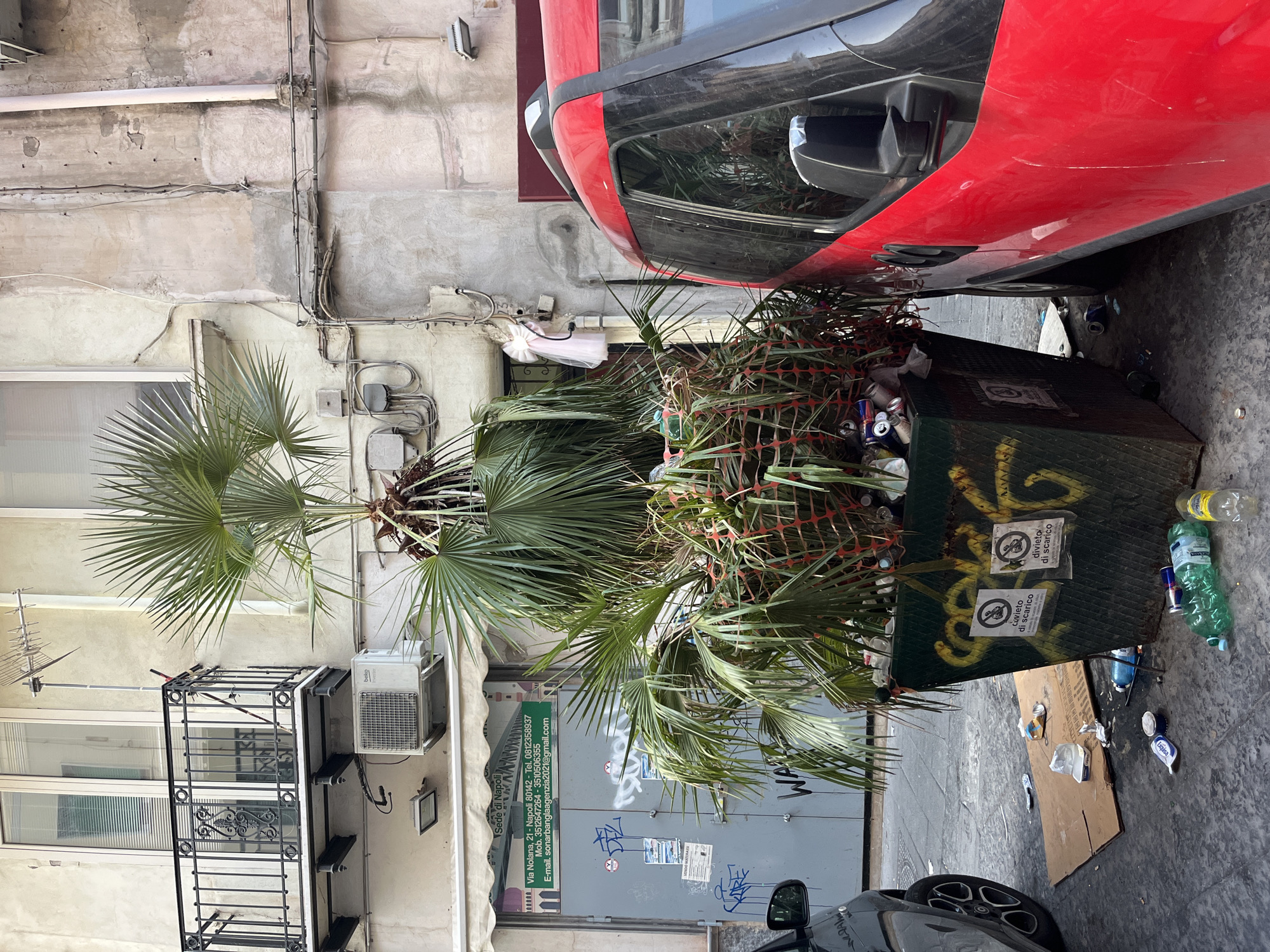 The image depicts an urban street scene in Naples, Italy, characterized by a large, overflowing dumpster filled with vegetation and debris. The dumpster, which appears to be made of metal, is green and adorned with yellow graffiti. Two signs, seemingly official notices, are attached to the front of the dumpster, one with a red circle and slash over a symbol, and the other with text in Italian, possibly indicating a prohibition on dumping.
The dumpster is densely packed with palm fronds and other plant material, with visible litter such as plastic bottles and cans spilling out. A bright red vehicle, possibly a van or SUV, is parked to the right of the dumpster, its side partially obscured by the overflowing foliage. To the left of the dumpster, a portion of a dark-colored car is visible. The ground around the dumpster is littered with more debris, including discarded cans, bottles, and a piece of cardboard.
The background shows the facade of a building with an air conditioning unit mounted on the wall, a balcony with an ornate railing, and windows with blinds. The architecture suggests a typical European urban environment. Wires and pipes are visible running along the building's exterior, contributing to the somewhat weathered and utilitarian aesthetic of the scene. The overall impression is one of urban clutter and an apparent lack of proper waste management.