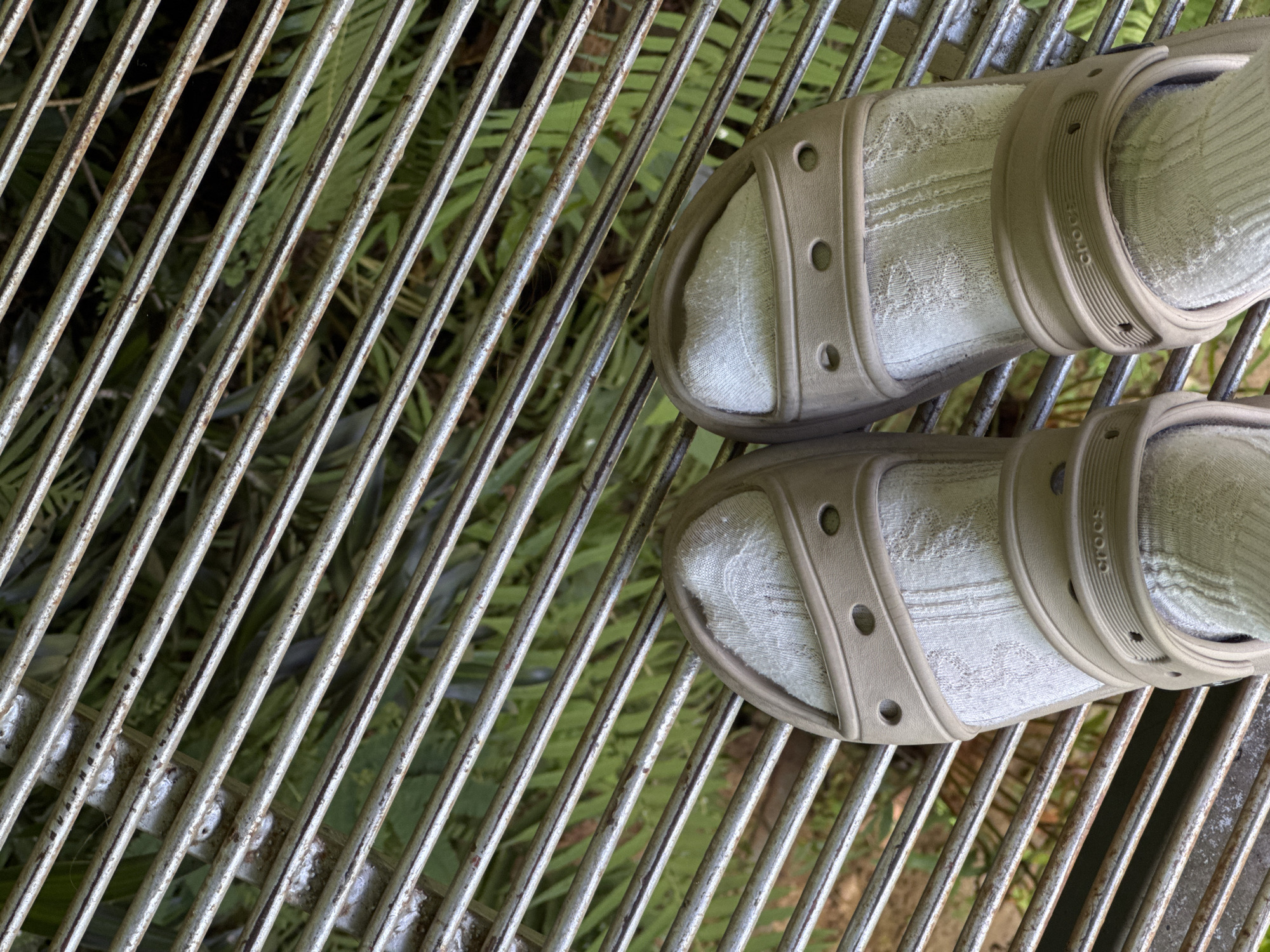 The image shows a top-down view of a pair of tan Crocs sandals with white patterned socks worn by an unseen person, standing on a metal grate. The grate is oriented diagonally across the frame, with green foliage visible beneath it. The environment appears to be outdoors, likely in a park or garden area, given the vegetation. The sandals have the "crocs" logo embossed on the strap of the right sandal. The scene is captured from a high angle, focusing on the feet and the immediate surroundings. No specific landmarks of Da Lat, Vietnam are visible, making it impossible to definitively place the location.