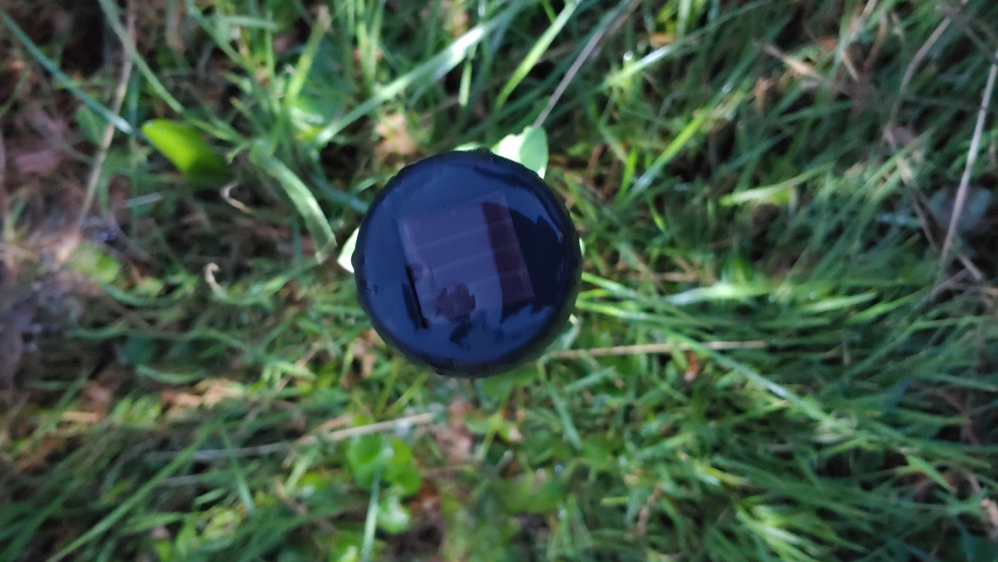 An overhead, high-angle shot shows a round, black solar panel on top of a lawn light. The solar panel is dark with faint grid lines visible beneath a slight sheen of moisture. The light is surrounded by green grass, with some brown dirt and leaves also visible. The image is outdoors, likely in a garden or yard. There are no people or animals in the frame. The location of Mukachevo, Ukraine is not discernible from the image.