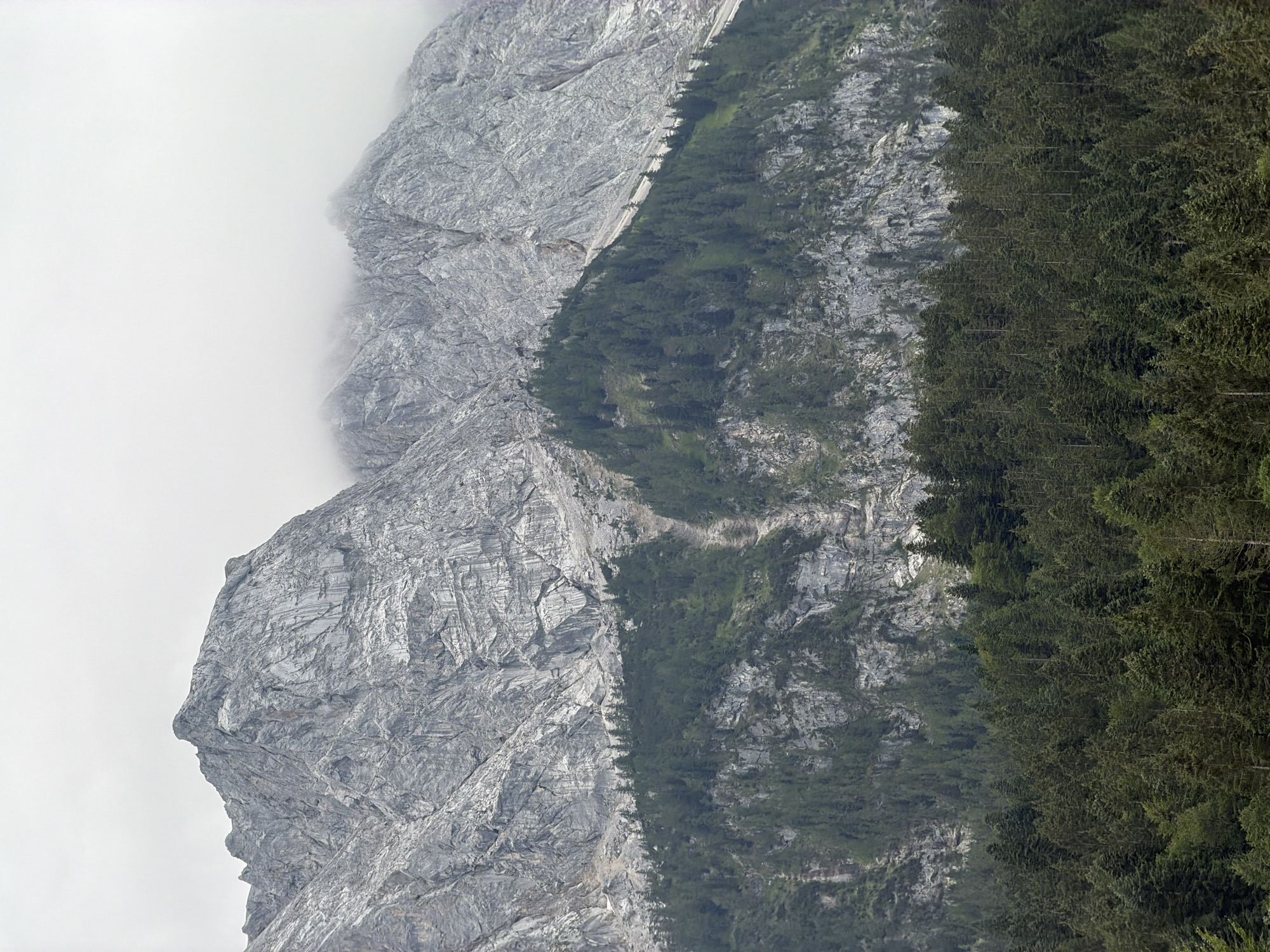 The image shows a panoramic view of the Zugspitze mountain range in Grainau, Germany. The foreground is dominated by a dense forest of dark green coniferous trees, with the tops of the trees forming a textured canopy. Above the forest, the rocky slopes of the mountains rise, characterized by their grey, striated texture. The upper reaches of the mountains are partially obscured by clouds, giving the scene a somewhat overcast and dramatic atmosphere. There are no people or specific objects visible in the image, other than the natural landscape. The environment depicted is mountainous and forested.