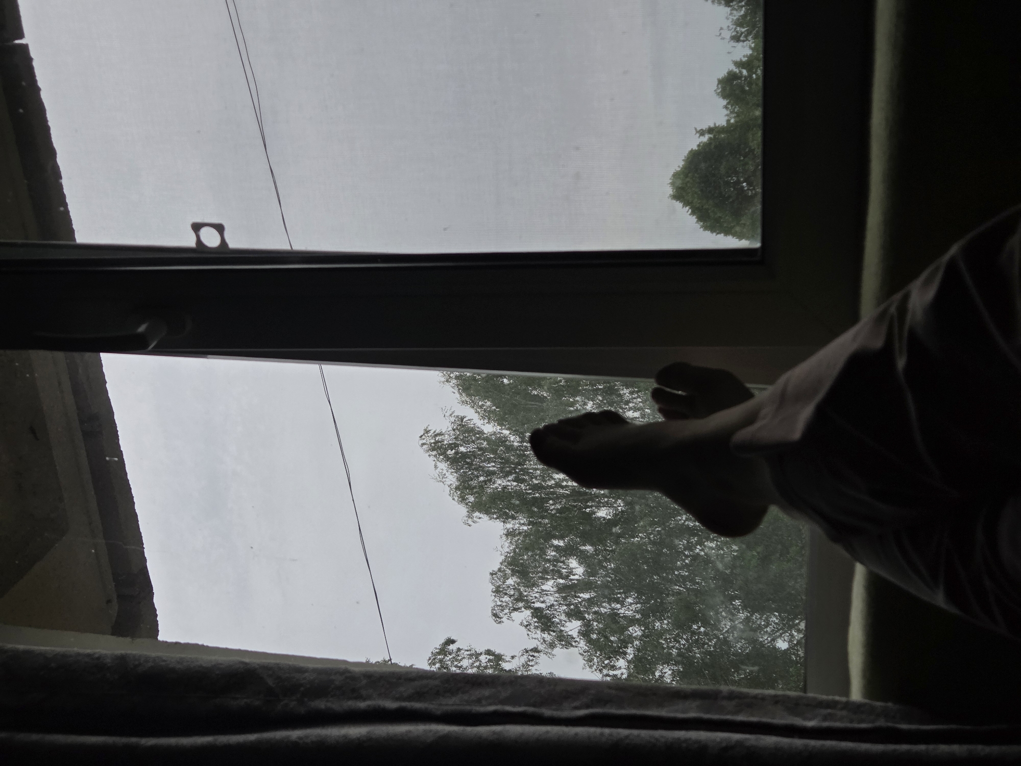 The image depicts an indoor scene looking outwards through a window on an overcast day in Unknown, Unknown. In the immediate foreground, the lower legs and feet of a person are prominently silhouetted against the window, with the feet positioned towards the upper-center-right. The person's legs are covered by dark clothing. Below the feet, a dark, upholstered surface is partially visible, consistent with a couch or similar furniture item.
The window assembly features a dark vertical mullion separating at least two panes. A dark curtain or drape is visible on the left side of the frame. A distinct circular handle or latch mechanism is present on the right edge of the left window pane's frame. The right window pane exhibits a fine grid pattern, suggesting the presence of an insect screen. Above the window in the upper left, a concrete structural element, possibly an overhang, is discernible. A thin, dark line, consistent with an electrical or utility wire, extends horizontally across the middle of the external view.
Beyond the window, the exterior environment is visible under a uniformly grey, overcast sky. Numerous green deciduous trees with dense foliage are prominent, particularly in the left and lower right sections of the frame. The indoor elements are heavily silhouetted due to the brighter light originating from the exterior.