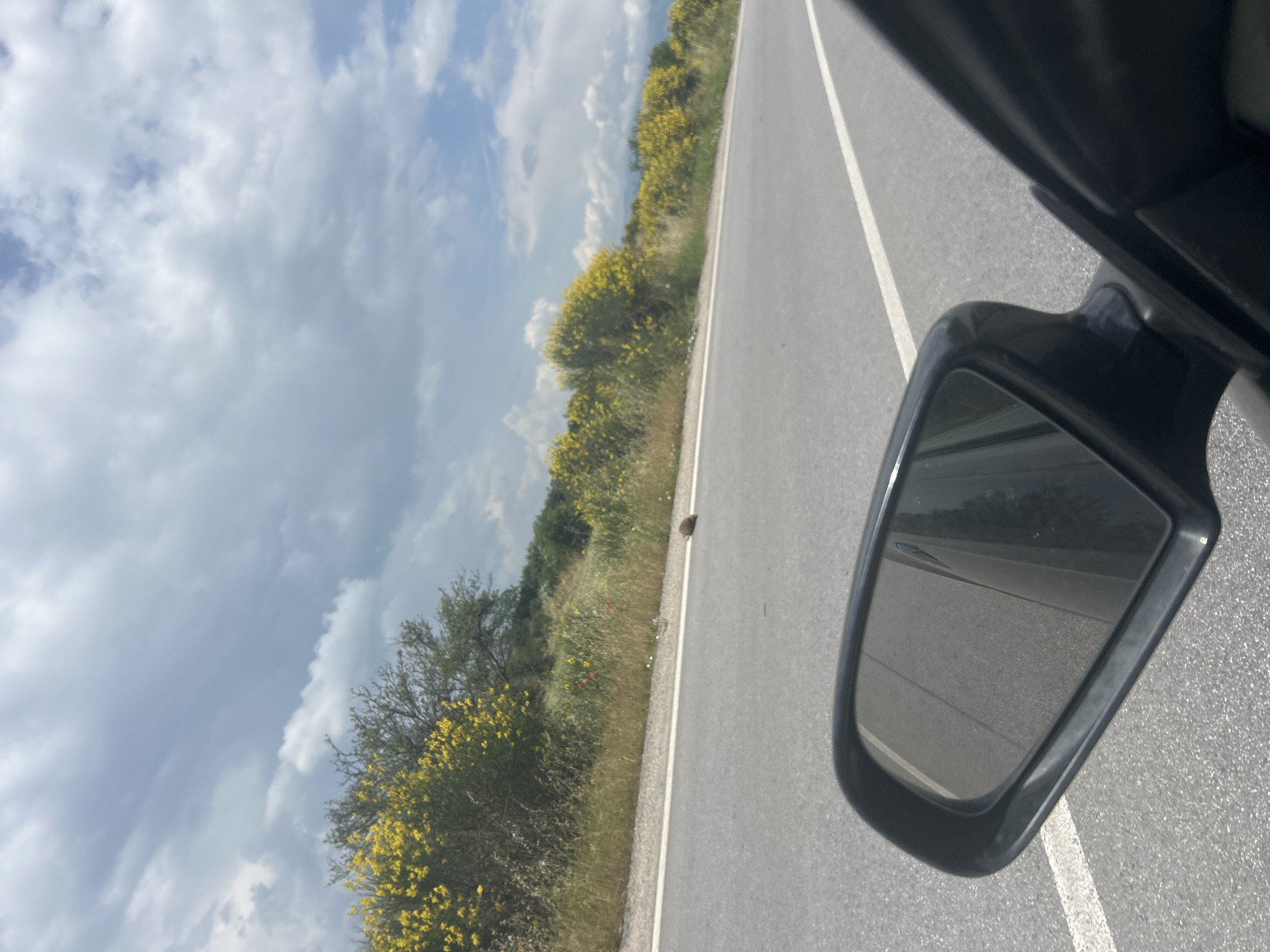 The image captures a scenic view from the perspective of a car traveling on an asphalt road, looking out towards the adjacent landscape. On the far right, a black side mirror of the vehicle is prominently visible, reflecting a portion of the road behind. A segment of the car's dark body is also seen along the right edge.
The road itself, visible in the lower and central-right parts of the frame, is smooth asphalt with clear white lines marking the shoulder and a dashed lane divider. To the left of the road, a wide verge is covered with green grass, interspersed with numerous bushes and small trees laden with bright yellow flowers, possibly common broom (Cytisus scoparius) or similar wild flora common in spring. Hints of reddish flowers, likely poppies, are also visible among the grass in certain areas.
Above the verdant roadside, a vast, partly cloudy sky dominates the background. It features patches of light blue intermingled with soft, voluminous white and light grey clouds, suggesting a bright day with significant cloud cover. No people or artificial structures are discernable within the frame. The overall scene depicts a peaceful journey through a natural, rural setting, consistent with areas found in Marino Pole, Bulgaria. The time of day appears to be daytime. There is no visible text in the image.