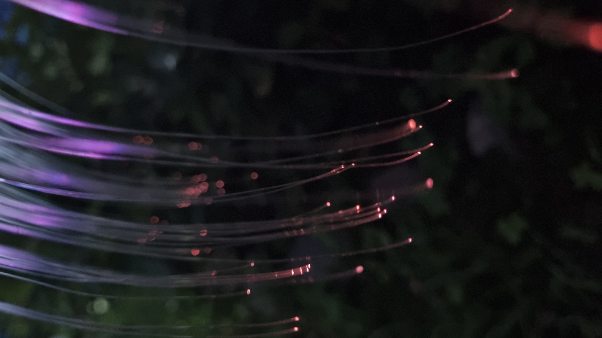 The image displays a close-up, vertical view of translucent strands, possibly fiber optic cables, illuminated with purple and pink light. These strands hang downwards, with small, bright pinkish-red lights appearing at their tips. The background is dark and out of focus, suggesting a nighttime or dimly lit outdoor environment, with hints of green foliage visible. The scene is set in Vysokoe, Russia, although no specific urban features are identifiable within the frame. There are no people or discernible actions taking place; the focus is on the abstract and illuminated strands.