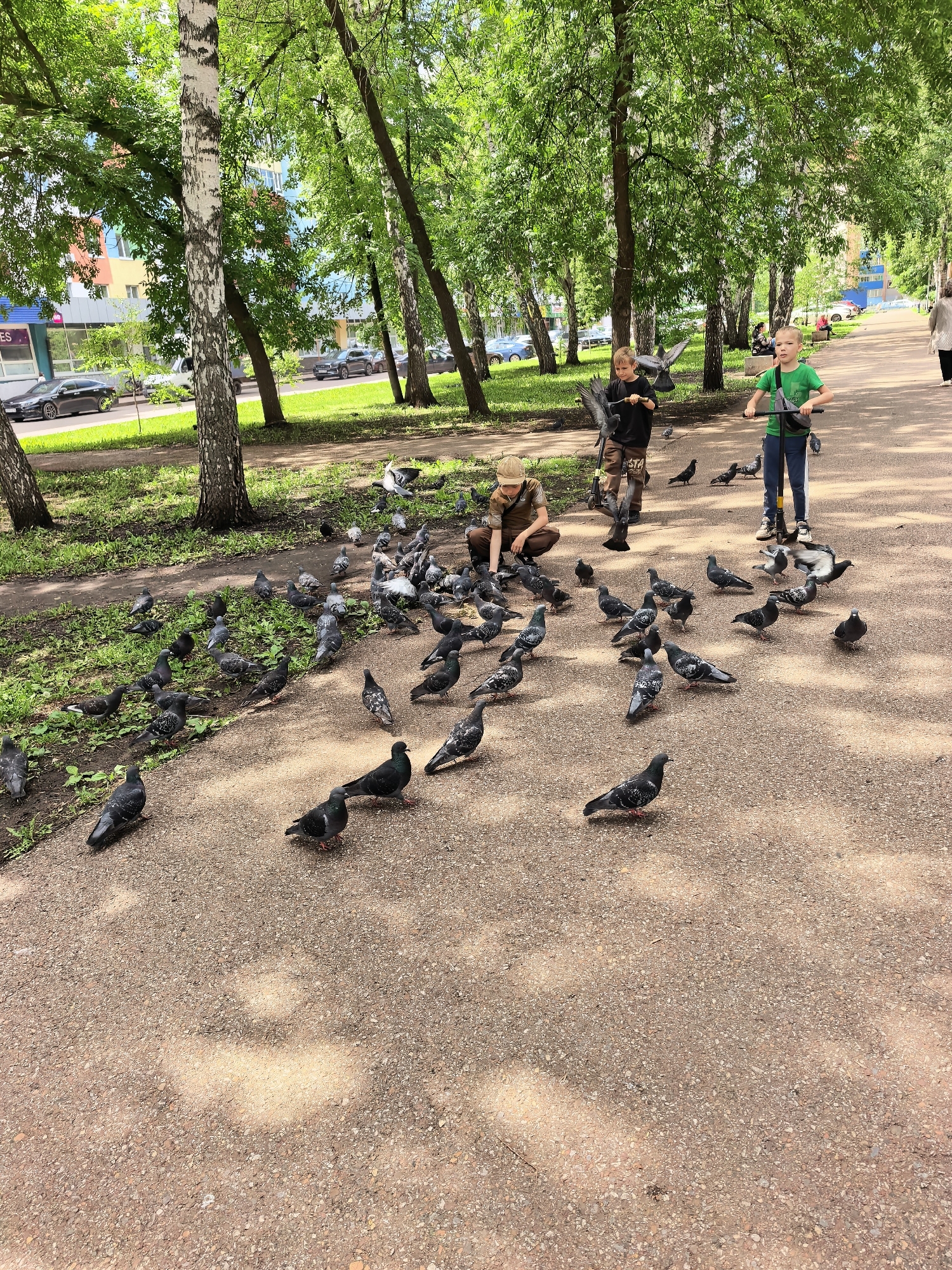 The image depicts a park scene in Sterlitamak, Russia, on a bright, sunny day with abundant green foliage. In the foreground, a dirt path is populated by a large flock of pigeons, many of which are actively pecking at the ground. To the left of the path, a young boy wearing a light brown cap and a brown t-shirt is crouched down, seemingly interacting with the birds. Further to the right, two other children are present: one in a green t-shirt is standing on a scooter, and another in a dark t-shirt is also on a scooter, with a pigeon in flight above him. In the background, a tree-lined walkway extends into the distance, with a few other individuals visible further down the path. Beyond the trees, buildings and parked cars suggest the park is located within an urban environment. The overall atmosphere is one of leisure and outdoor activity in a natural setting within the city.