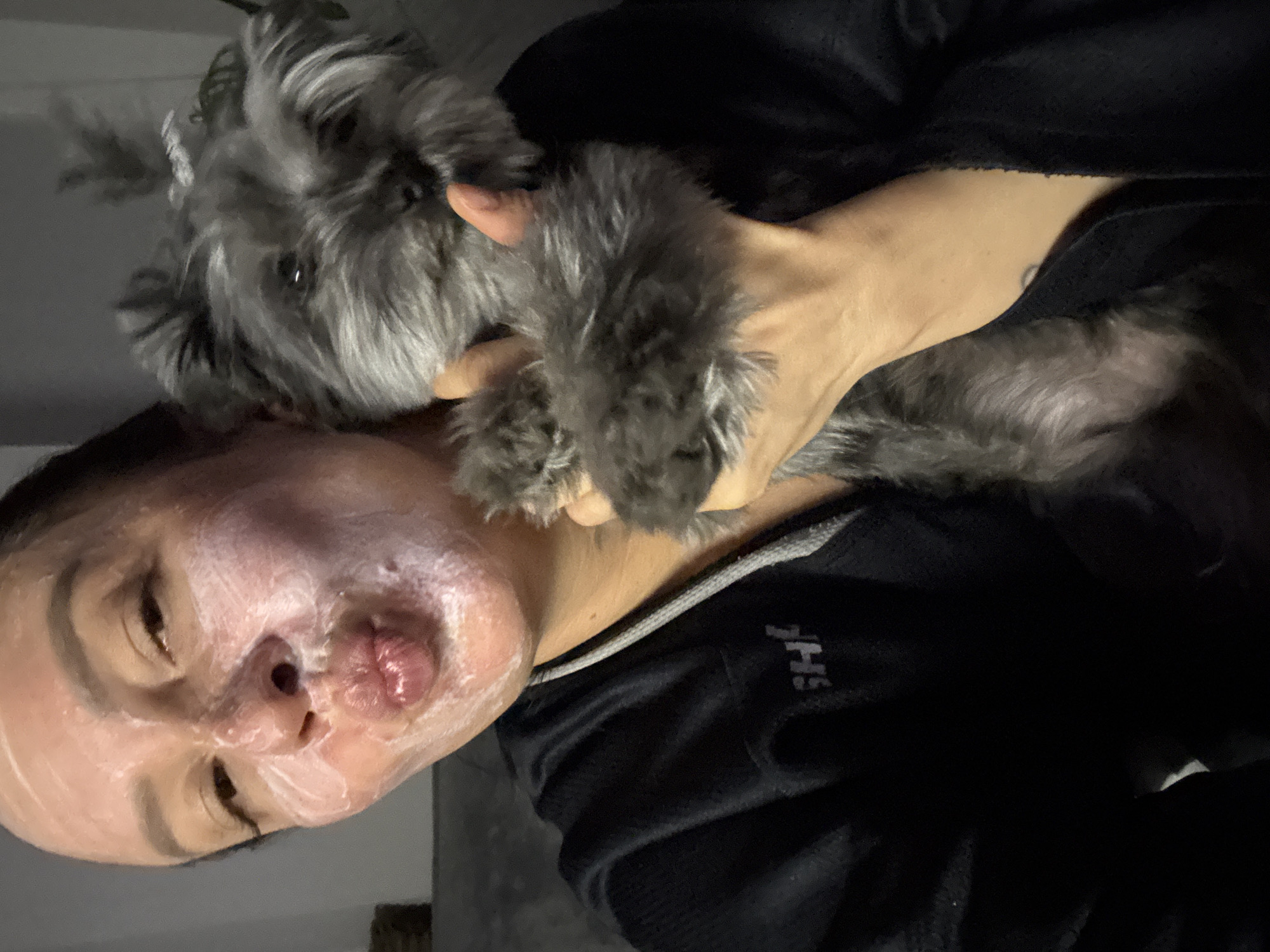 A woman with a white facial mask is holding a gray Schnauzer dog. The woman is wearing a black athletic shirt with gray trim. The dog is partially covering the woman's neck. The background is out of focus. It is not possible to determine the location in Chaikovsky, Russia, from the provided image.