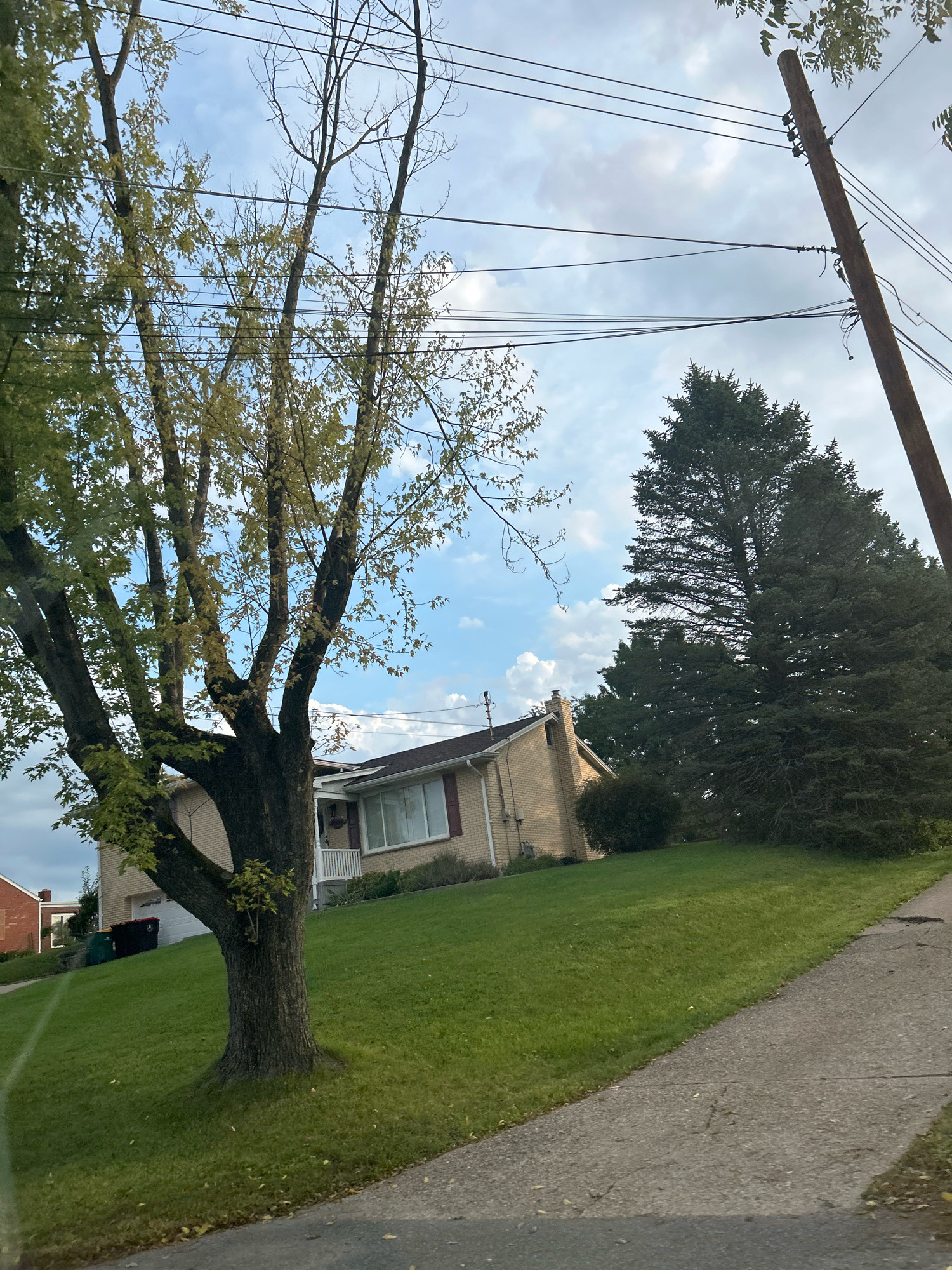 The image depicts a residential street scene in Robinson Township, USA. A tree with sparse, yellowish leaves stands prominently in the foreground on a grassy slope. Behind the tree, a single-story brick house with a dark roof and a covered porch is visible. A large evergreen tree is situated to the right of the house, and a utility pole with multiple wires runs across the top of the frame. The sky is partly cloudy. A concrete sidewalk runs along the right side of the image, adjacent to the grassy slope. Another brick house is partially visible in the background to the left. Trash cans are present near the driveway of the house on the left.