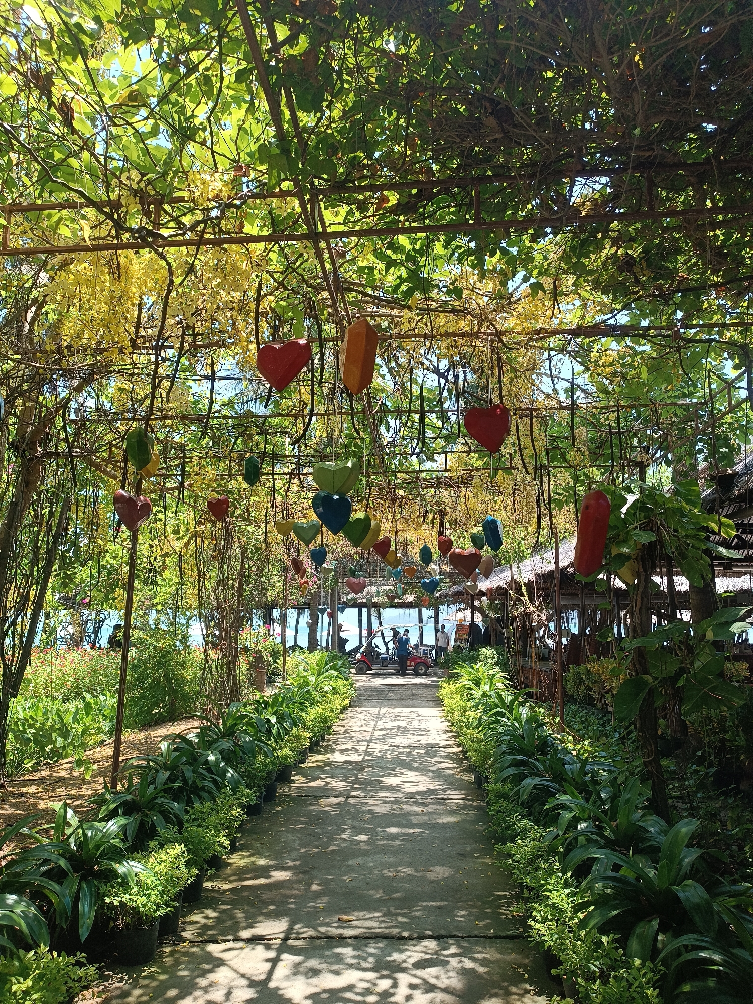 The image depicts a scenic pathway leading towards a beachside resort in Ninh Ích, Vietnam. The pathway is flanked by lush greenery and potted plants, with a canopy of vines and yellow flowers overhead. Colorful heart-shaped decorations are suspended from the vine structure, adding a whimsical touch to the scene. In the distance, the ocean is visible, with a few people and a red golf cart near a thatched-roof building. The overall atmosphere is tranquil and inviting, suggesting a tropical vacation destination.