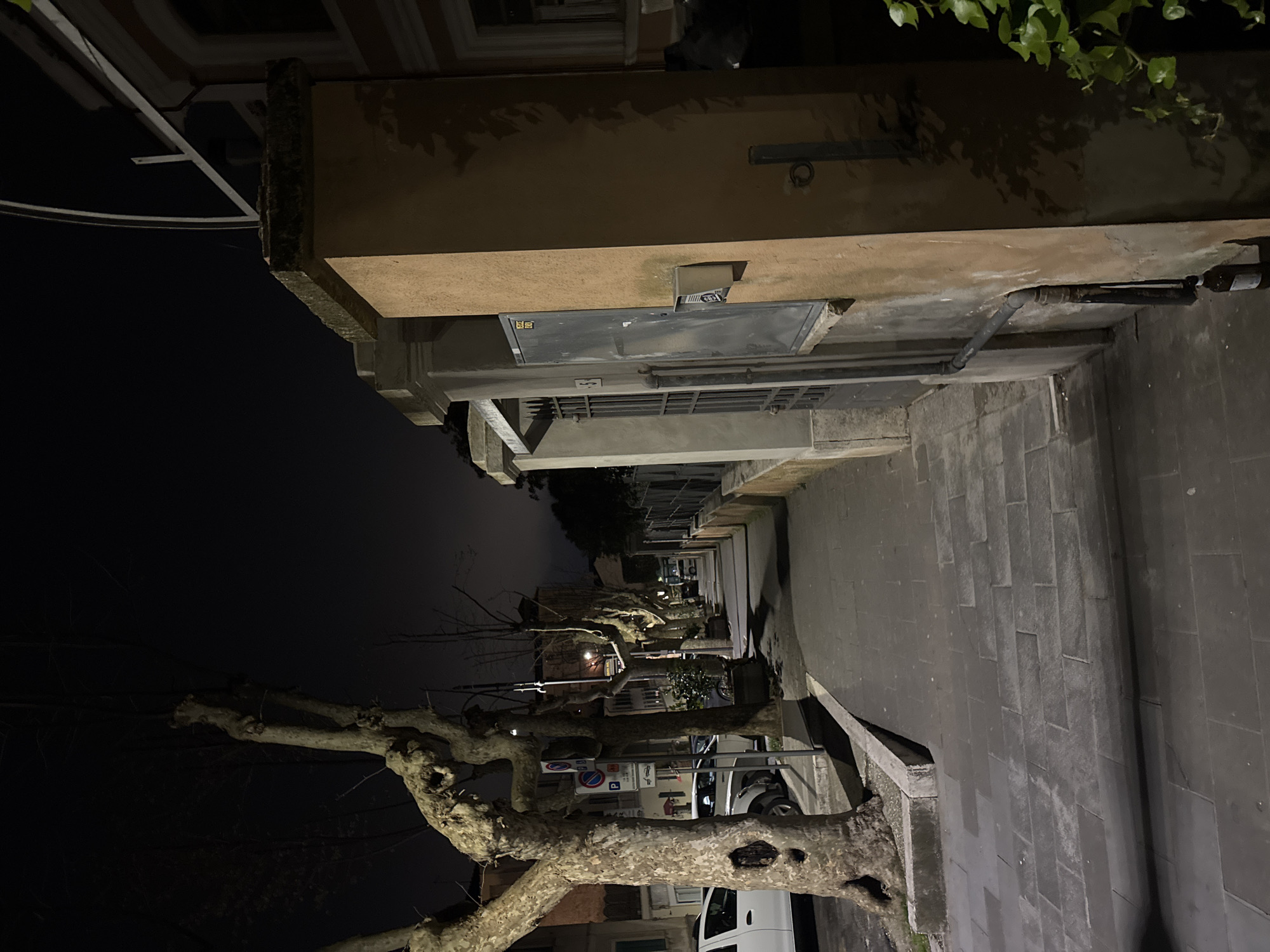 The photograph depicts a street scene at night in Castelnuovo di Porto, Italy. The image shows a narrow street lined with buildings on one side and a sidewalk on the other. The building's facade is tan with a dark gray access panel. A large, leafless tree is visible along the street, with its branches extending across the frame. The street is paved with dark gray rectangular tiles, and several parked vehicles are visible further down the street. A street sign is partially visible near the trees. The overall lighting is dim, with artificial lights illuminating parts of the street and buildings. The sky is dark, suggesting a clear night.