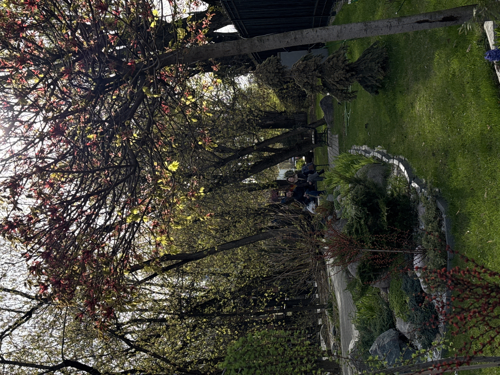 The image shows a park-like setting, possibly in Moscow, Russia. A tree with budding red flowers dominates the left side of the frame. A line of trees with green leaves continues along the center of the image, providing shade to a walkway. People are sitting on a bench under the trees. A well-maintained lawn is on the right side of the image, bordered by rocks and greenery. A wooden beam is in the upper part of the frame.