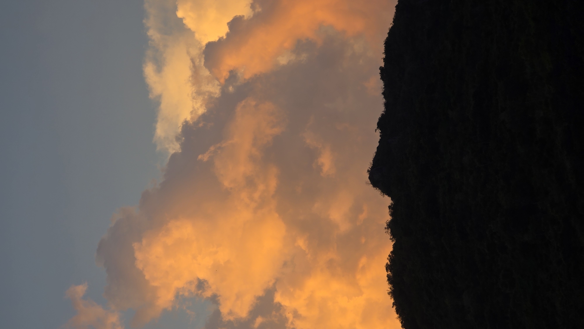 The image, which appears to be rotated 90 degrees counterclockwise, shows a sunset sky partially obscured by a dark, silhouetted landmass on the right. The sky is a mix of light blue and fiery orange, with the orange hues concentrated in the clouds. The landmass appears to be a heavily vegetated cliff or mountain, its texture detailed even in silhouette. The location is possibly Bac Nha Trang Ward, Vietnam, but there are no specific landmarks to confirm this. There are no people visible. The overall impression is one of twilight over a natural landscape.