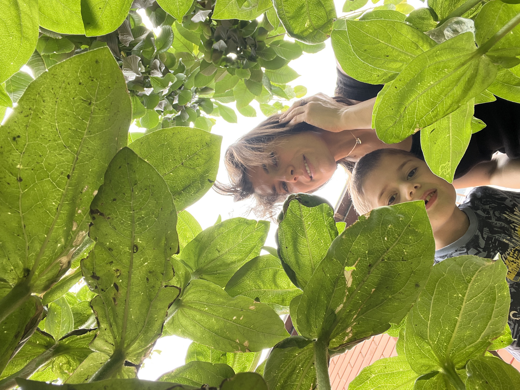 The image shows a low-angle shot of a woman and a child looking up through a canopy of large green leaves, seemingly from within a garden or park. The woman, with shoulder-length brown hair and bangs, is looking at the camera and touching her hair. She is wearing a dark top and a necklace. The child, appearing to be a young boy with light brown hair, is peeking from behind a leaf, also looking towards the camera. He is wearing a dark t-shirt with a graphic print. Sunlight filters through the leaves, creating a bright, dappled effect. In the background, a red brick wall is partially visible. The environment appears to be outdoors, with lush foliage dominating the foreground. There is no clear indication of the specific location within the city of Kaspiysk, Russia, based solely on the visual information provided.