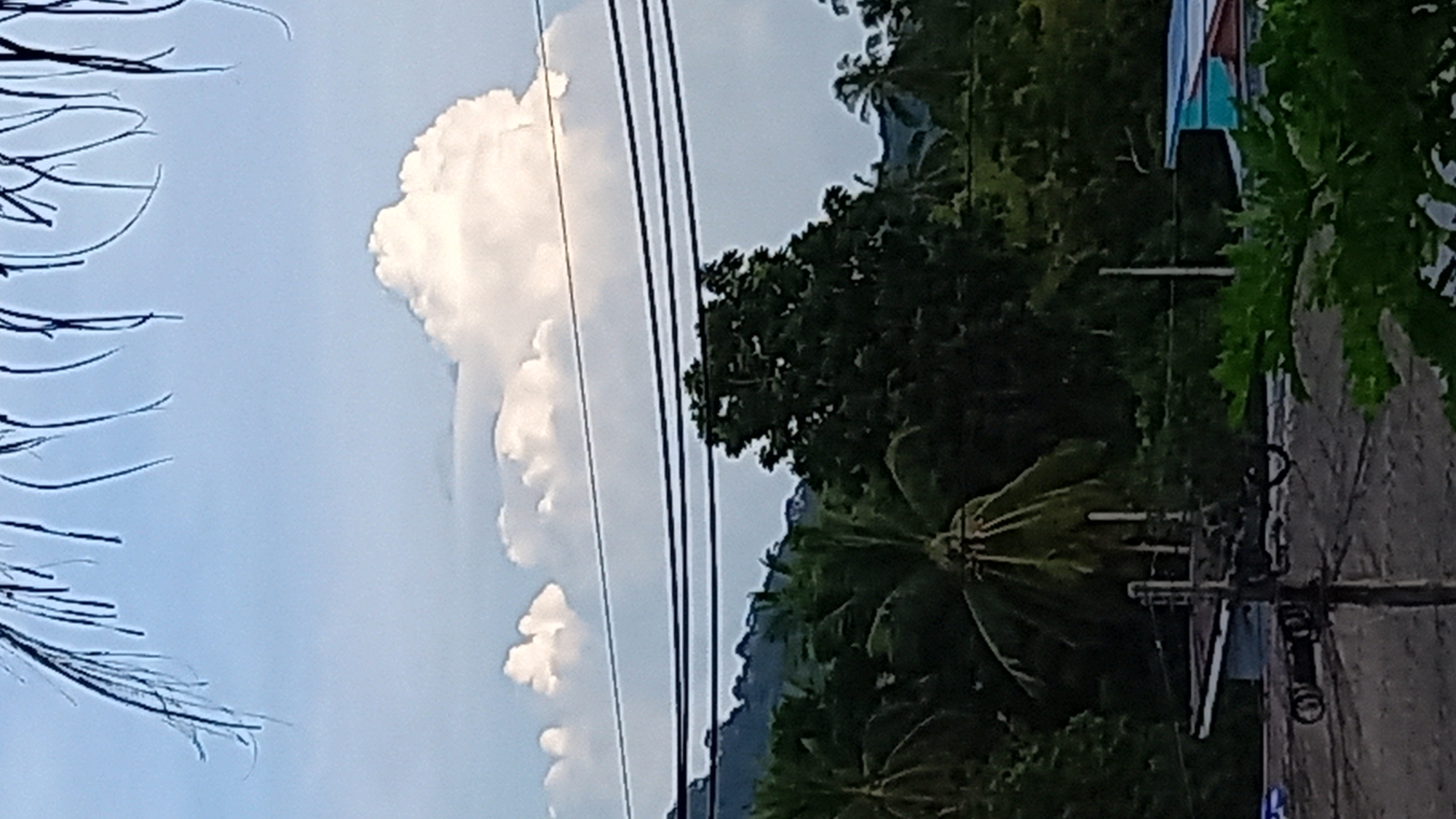 The image shows a view from an elevated position looking towards a tropical landscape under a partially cloudy sky. In the foreground, the tops of palm fronds hang down from the top of the frame. A row of thick black electrical wires spans across the middle of the image. Beyond the wires, a lush green hillside is visible, covered with dense vegetation and trees, including palm trees. A large, puffy white cloud is prominent in the sky above the hillside, contrasting with the lighter blue sky. In the lower part of the image, a power pole with insulators and wires is visible, along with parts of buildings with colorful roofs. The ground appears to be a dark, rough surface. The scene is characteristic of a tropical location, possibly a residential or semi-rural area within Ko Pha-ngan District, Thailand.