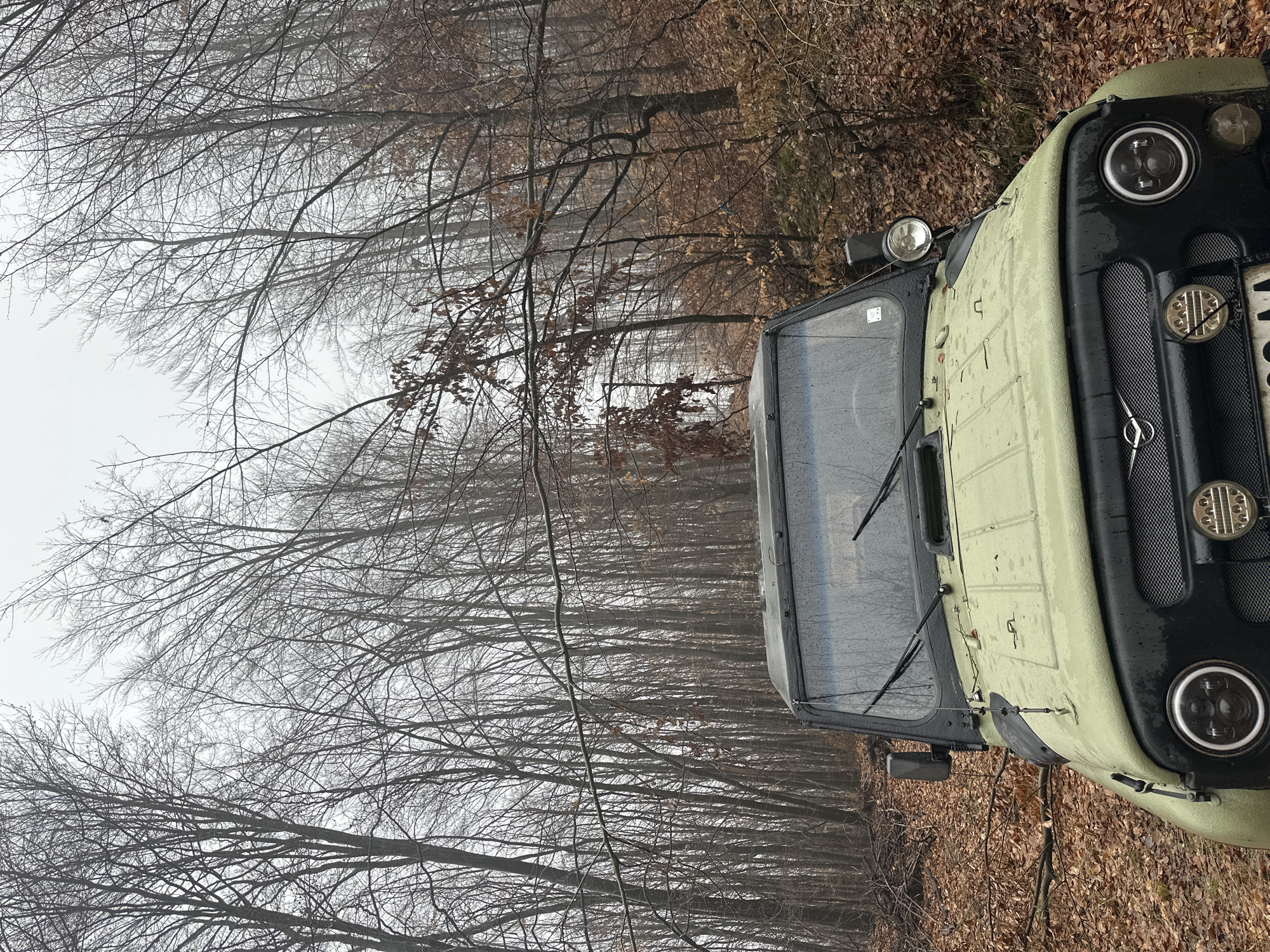 A light-green, utilitarian vehicle is positioned on the edge of a forest, partially obscuring a line of bare trees against a misty sky. The ground is covered with brown leaves. The vehicle, appearing to be a UAZ-469 or similar model, features distinct round headlights and a black grille. The windshield is wet, and the wipers are visible. The scene appears to be in a rural or wooded area, and the overall tone is muted due to the overcast weather. The specific location within the city of Unknown, Unknown, cannot be determined from the image alone.