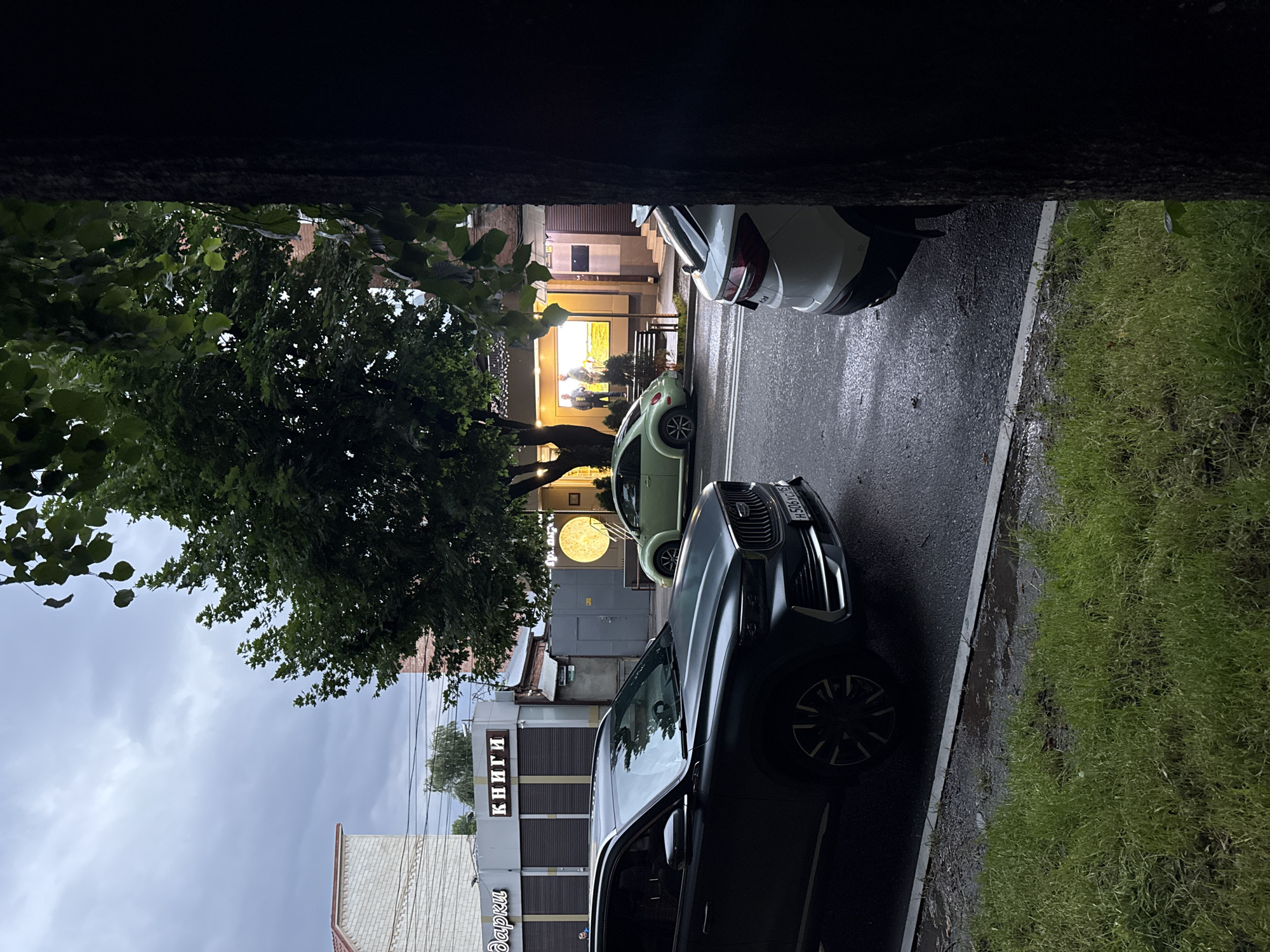 This is a vertical, medium-shot photograph taken from a slightly elevated perspective, looking down an asphalt road. The scene appears to be set in a town or village, possibly in Russia, given the location context. The time of day seems to be late afternoon or early evening, with overcast skies suggesting it might be raining or has recently rained, as evidenced by the wet asphalt.
The main subjects are several parked cars. Closest to the viewer is a dark-colored SUV, predominantly filling the lower right portion of the frame. Its front end, including the grille and headlights, is visible. Further down the road, a light green compact car is parked, and behind it, the rear of a white car is visible. The road is lined on the right by a strip of lush, green grass, which appears somewhat wet and unkempt. On the left side of the road, a building is visible with a sign that reads "КНИГИ" (which translates to "BOOKS" in Russian). Below this sign, another sign is partially visible, reading "Дарки" (likely a store name). The building's facade suggests a commercial establishment. In the background, there are more buildings, one with a large, bright, circular light fixture. The overall atmosphere is somewhat muted due to the cloudy weather, but the bright light in the background adds a point of interest. The image is framed at the top by the dark silhouette of what appears to be tree branches or an overhang.