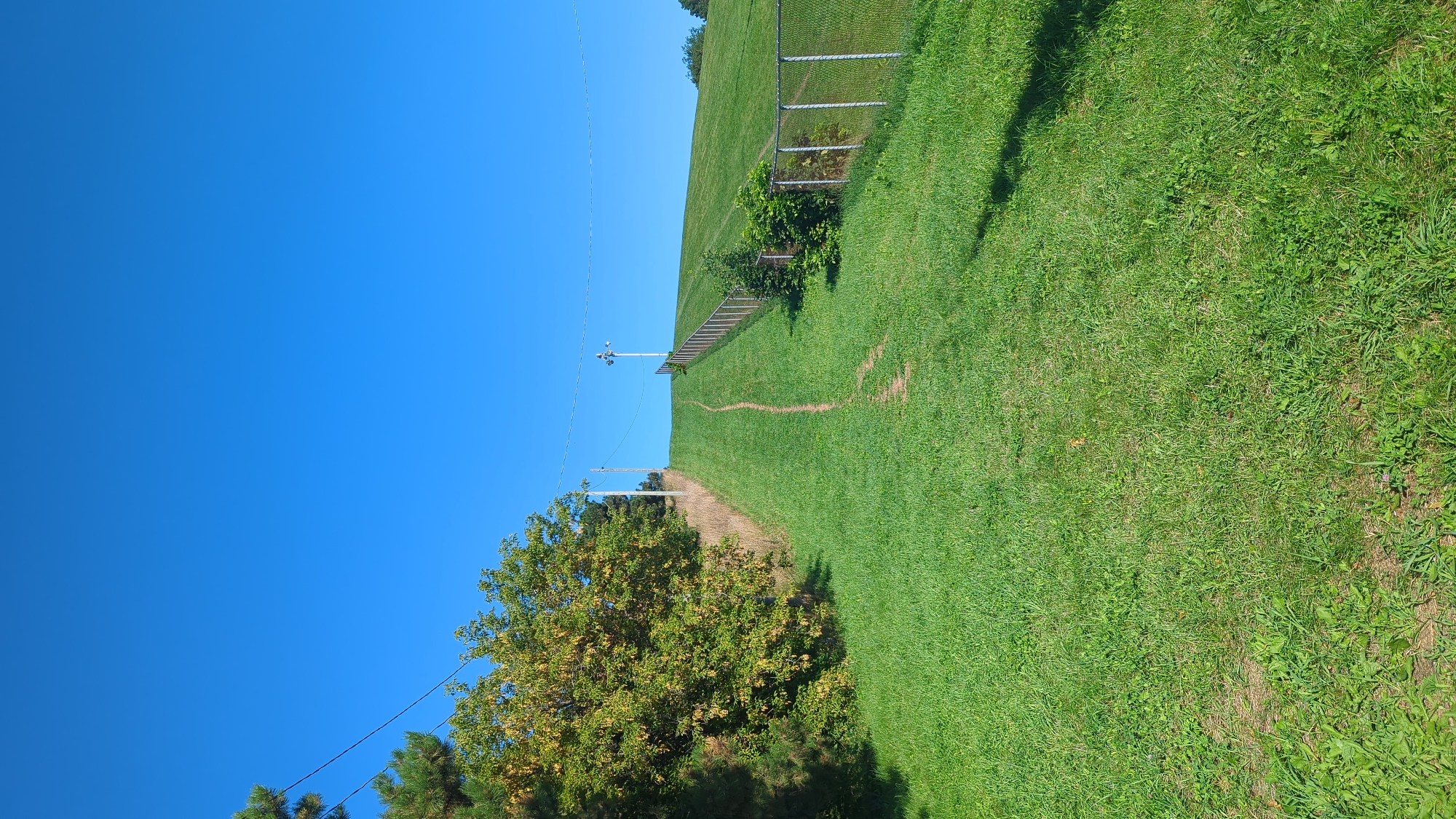 A dirt path winds up a grassy hill under a clear blue sky. On the left side of the hill, a tree with green and yellow leaves stands tall, and a pine tree is partially visible. A chain-link fence runs along the right side of the hill. A utility pole with wires is visible on the horizon. The scene depicts a park or recreational area.