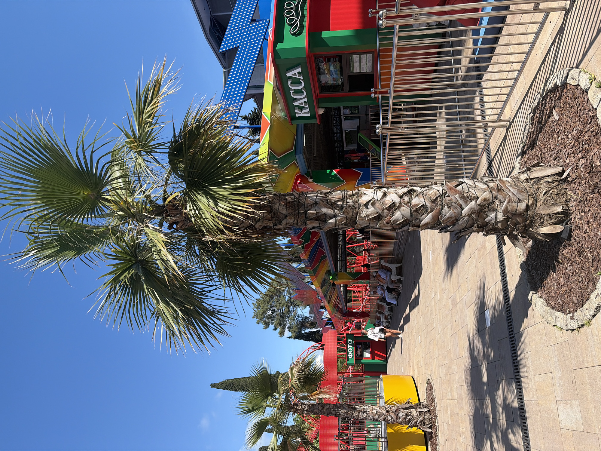 A sunny outdoor scene in Sochi, Russia, features a vibrant amusement park area. The foreground is dominated by a large palm tree with a rough, textured trunk. Beyond the tree, a paved walkway leads towards colorful amusement park structures. To the right, a green and red building with "KACCA" (Russian for "cash desk" or "ticket office") written in white letters is visible, with a metal railing in front of it. To the left, another palm tree and a red amusement ride with yellow accents are present. In the mid-ground, several people are sitting on benches, some appear to be waiting. A woman in a white top and shorts is walking past the benches. The sky is clear and blue, indicating fair weather. The overall environment suggests a lively, recreational atmosphere within the city.