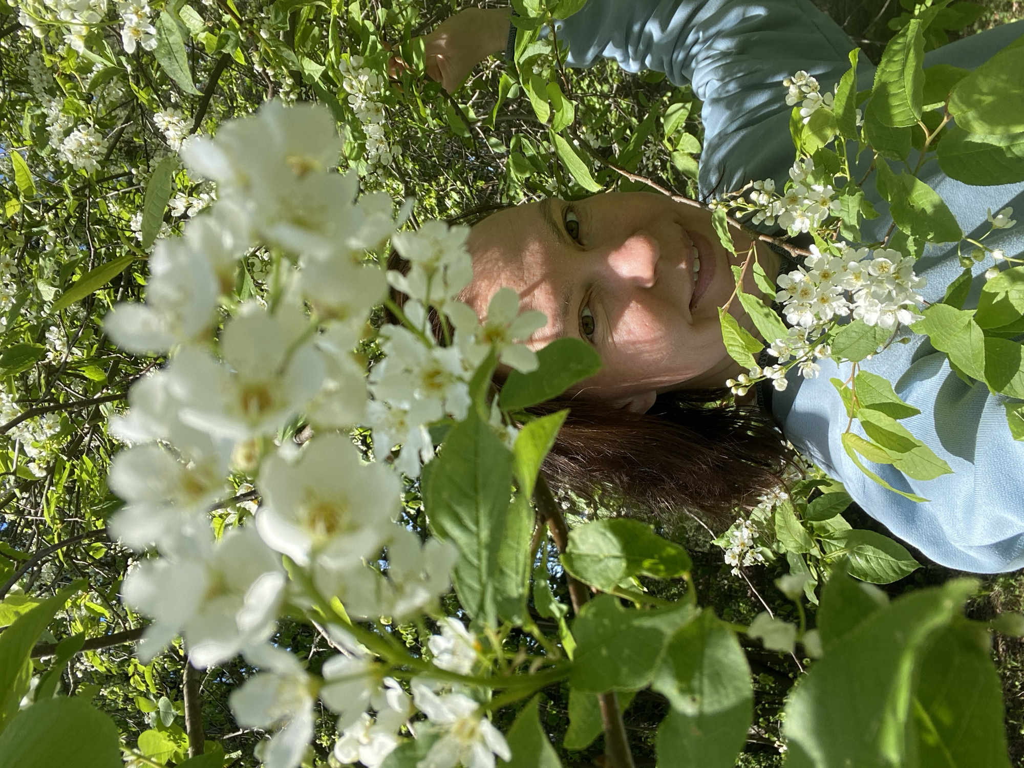 The image shows a woman with brown hair lying on her back amidst flowering branches. Her face is partially obscured by a cluster of white flowers in the foreground. She is wearing a light blue shirt. The scene appears to be taken in a lush, green area with a dense concentration of flowering trees or shrubs. The exact location in the city of Прикамский, Russia is undeterminable from the image alone.