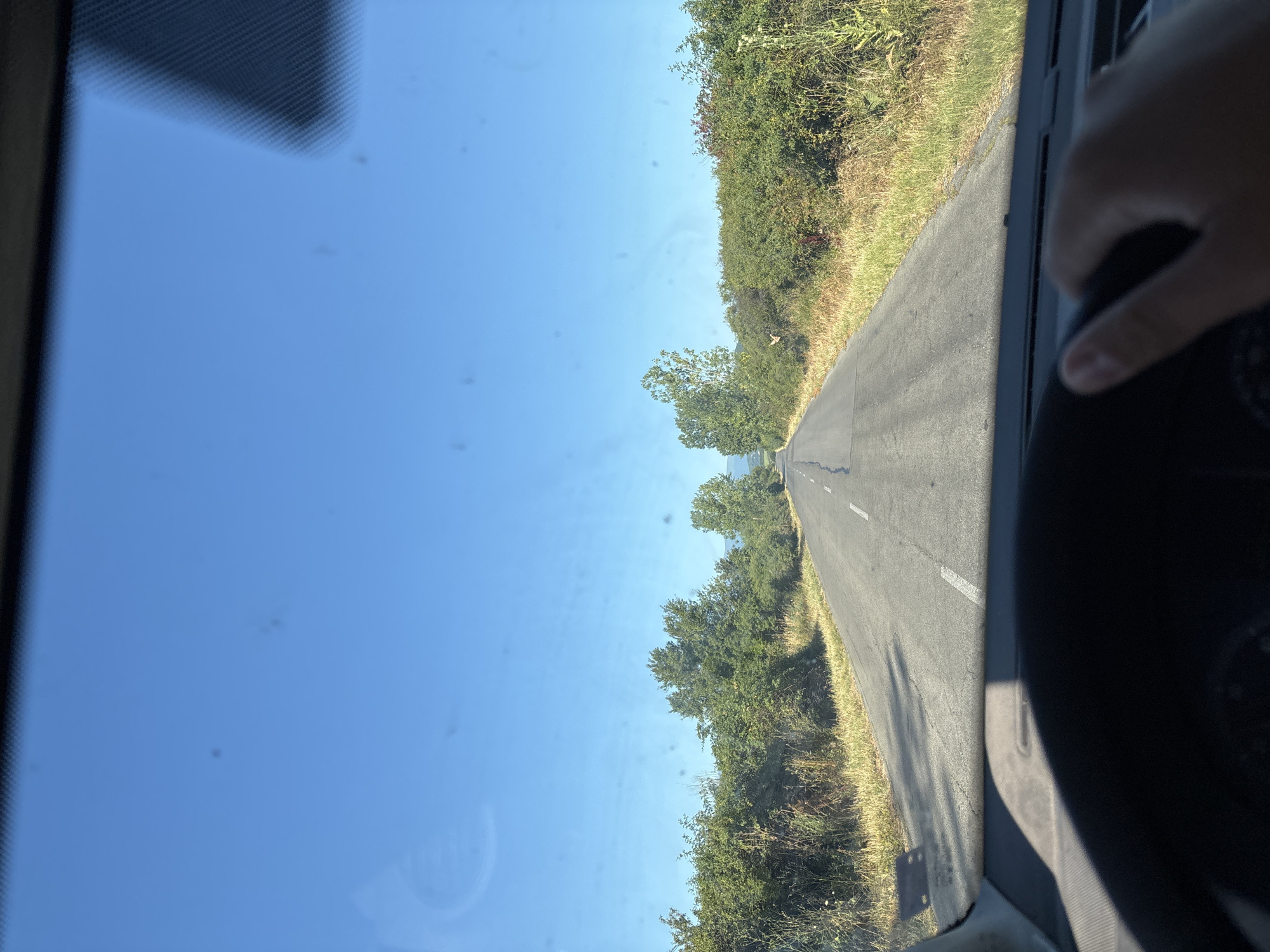 The image depicts a driver's perspective from inside a vehicle, looking out through the windshield at a two-lane asphalt road. The road stretches into the distance, flanked by dense green foliage and trees on either side. The sky is a clear, bright blue, with a few faint smudges or spots visible on the windshield. The driver's left hand is visible resting on the steering wheel. The scene suggests a rural or semi-rural setting, likely during daylight hours, as indicated by the bright sky and shadows cast on the road. The specific location in Botunia, Bulgaria, cannot be determined from the visual information alone.