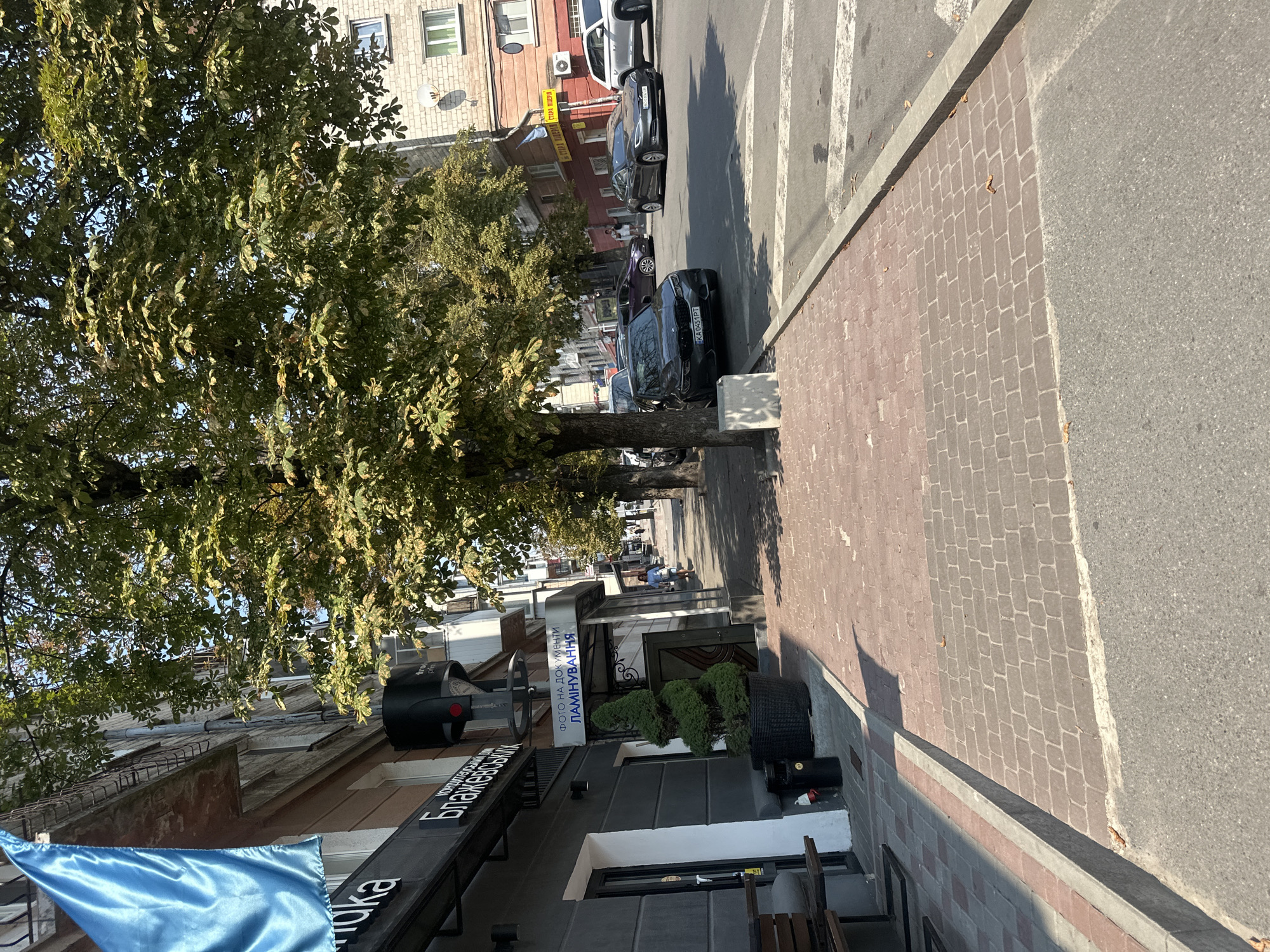 A street view captured on a sunny day in Ternopil, Ukraine, shows a sidewalk paved with red and gray bricks adjacent to a street with asphalt. A large tree with green foliage shades a portion of the sidewalk. On the left side of the image, a building facade is visible, featuring a dark gray storefront with a bright blue flag hanging from an upper floor. Text on the building facade reads "КАЮКА" and "БЛАЖЕВСЬКИХ". A sign above another entrance reads "ФОТО НА ДОКУМЕНТИ ЛАМІНУВАННЯ". A decorative potted evergreen tree stands near the entrance. To the right, several cars are parked or driving on the street, including a dark gray sedan and a silver SUV. A pedestrian in a light blue top and white shorts walks on the sidewalk in the background. The scene depicts a typical urban street environment with commercial establishments and residential buildings.