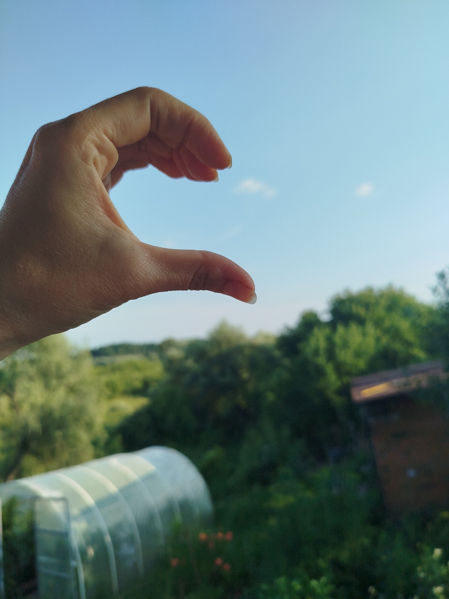 The image features a close-up of a person's hand in the foreground, fingers curled to form a crescent shape against a bright blue sky. The hand appears to be lightly tanned and shows some texture from its skin. The background is softly blurred, revealing a lush green landscape with trees and foliage. A translucent greenhouse structure is visible in the lower left corner, suggesting a garden or agricultural setting. In the middle ground, to the right, a portion of a wooden structure, possibly a shed or small building, with a visible roofline is present. The overall scene evokes a peaceful, outdoor environment. The lighting indicates it is daytime, likely late afternoon or early evening given the warmth of the light and the clear sky, which suggests fair weather. The location context provided is Zavodoukovsk, Russia. There is no visible text in the image.