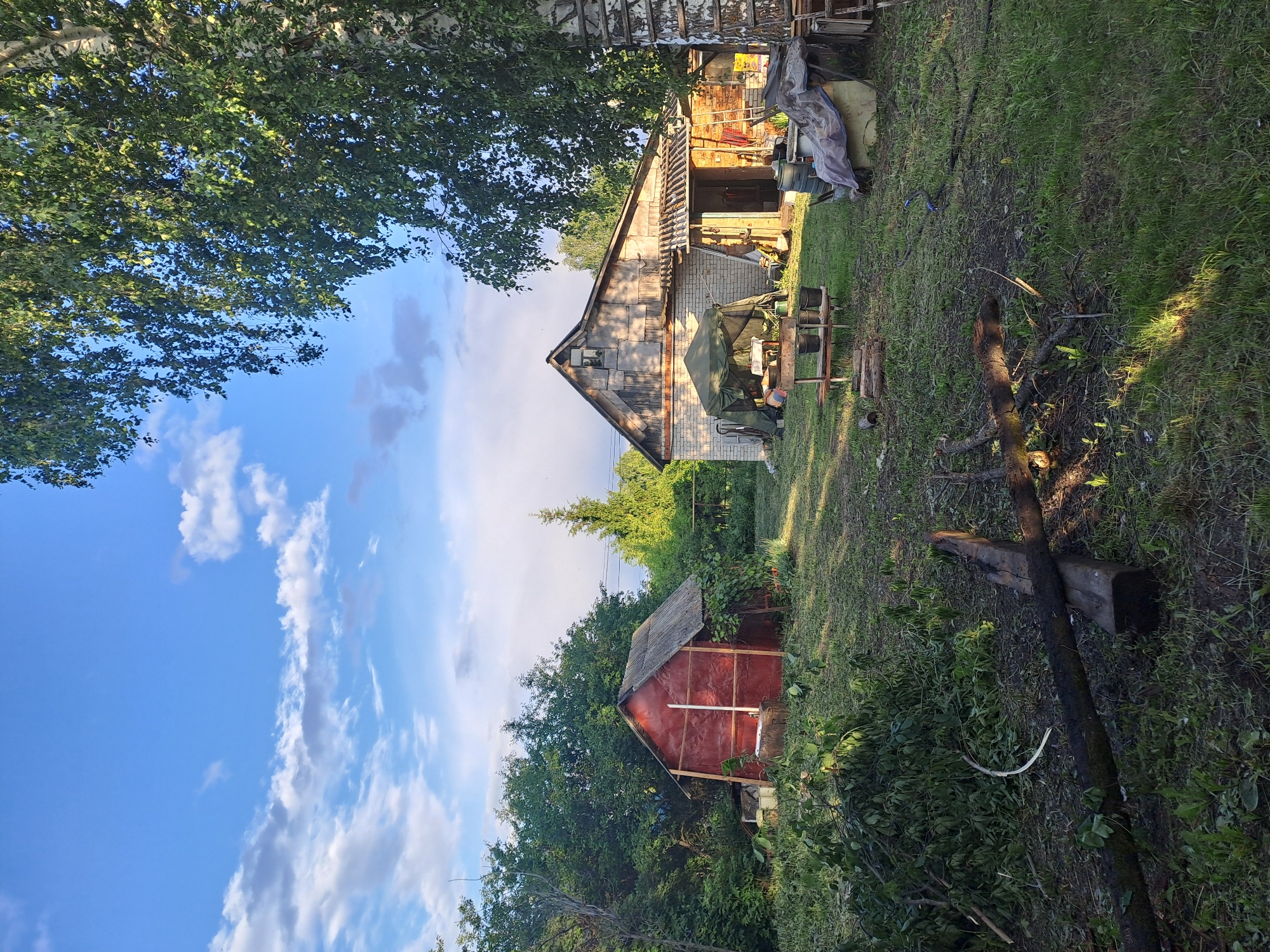 This image depicts a rural or semi-rural outdoor scene in what appears to be a backyard or homestead in Полянки, Russia. The setting is characterized by natural elements and rustic buildings under a bright blue sky with scattered white cumulus clouds.
In the mid-ground, a light-colored building, possibly a barn or an outbuilding, stands with a pitched roof made of corrugated material. Its walls are constructed from brick or concrete blocks. Adjacent to this larger structure, there's a makeshift table or workstation covered with a green tarp, and several buckets or containers are visible. Further back and to the left, partially obscured by dense foliage, is a smaller, red wooden shed with a similar pitched roof.
The foreground and right side of the image feature a grassy area that appears somewhat wild or unkempt, with patches of dirt and scattered branches, logs, and other debris, suggesting recent tree trimming or natural accumulation. A prominent dark log lies horizontally across the grassy area. Lush green trees with dense foliage frame the scene, with the leaves of a tree (possibly a birch due to its light-colored trunk) visible at the top.
The lighting indicates late afternoon or early evening, with long shadows stretching across the ground and buildings, suggesting the sun is low in the sky. The overall atmosphere is peaceful and quiet, with no people or visible activity taking place. There is no visible text in the image.