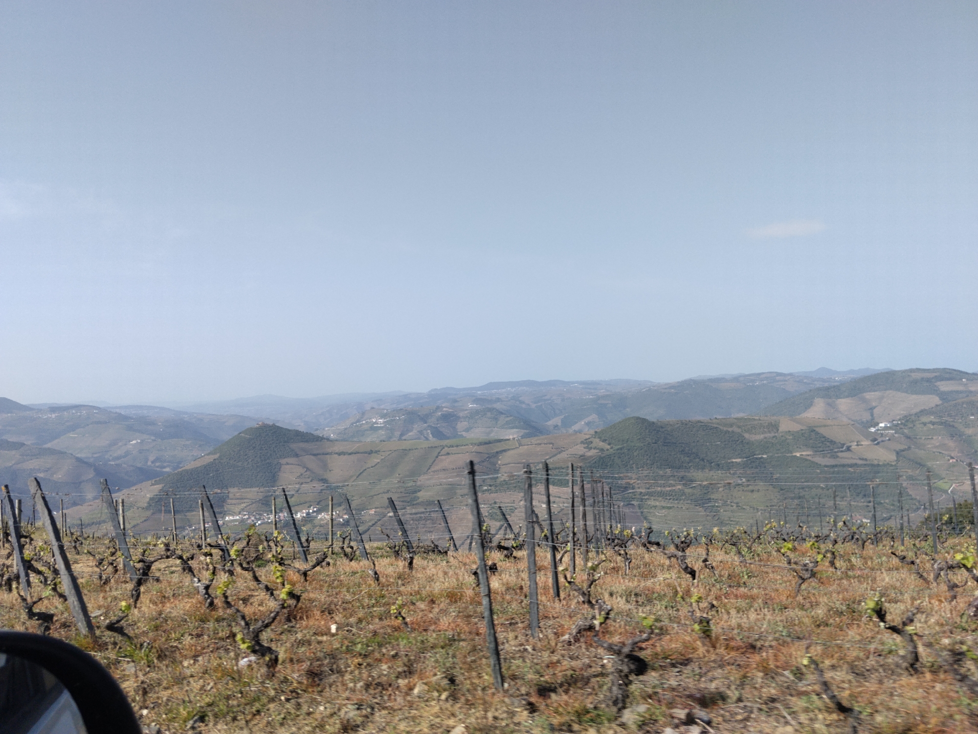 The image depicts a vineyard landscape in the city of Tabuaço, Portugal. Foreground: Rows of grapevines are supported by posts and wires, and the ground cover is dry grass and earth. Midground: Gently rolling hills stretch into the distance, showing terraced fields. Background: A pale blue sky fills the upper portion of the frame. There are no visible people. The overall scene suggests a rural, agricultural setting. A partial view of a car's side mirror is visible in the lower left corner of the frame.