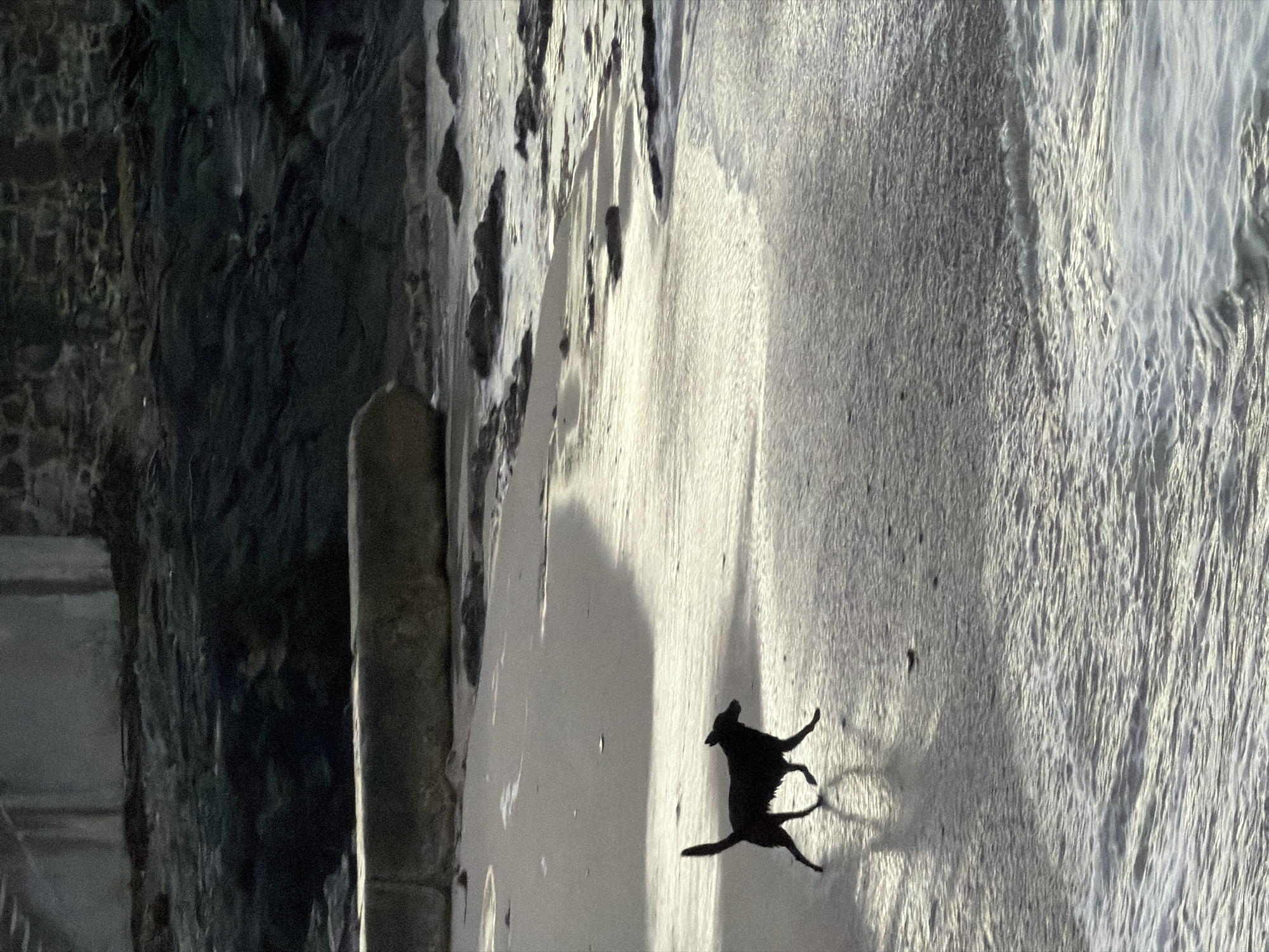 The image shows a beach scene, possibly in Cape Town, South Africa given the presence of similar landscapes in the area. A dark-colored dog is running on the sand near the shoreline, where the water is receding. The scene is brightly lit, creating a high-contrast image. To the left, a structure made of stone or concrete is visible, perhaps part of a retaining wall or building foundation near the beach. The image has been rotated 90 degrees counterclockwise.