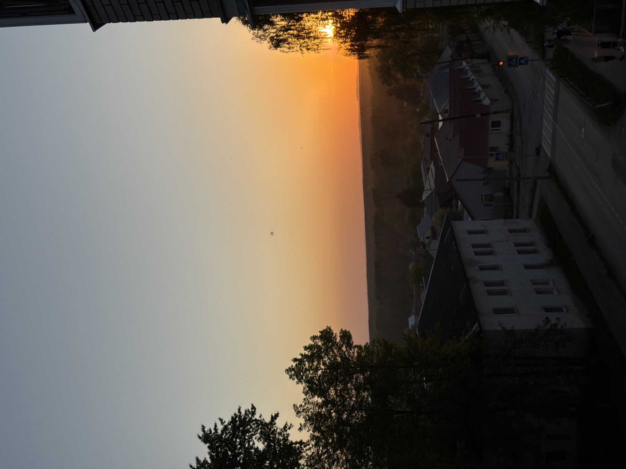The image shows a sunset over a city street in Chaikovsky, Russia. The sky transitions from a light gray-blue at the left to a vibrant orange-yellow near the horizon. Silhouetted trees are visible at the bottom, while building rooftops appear at the top. The street to the right is lined with buildings of varying heights and colors. The presence of a road with street signs and a pedestrian crossing indicates urban activity. The overall scene conveys an atmosphere of twilight settling over the city.