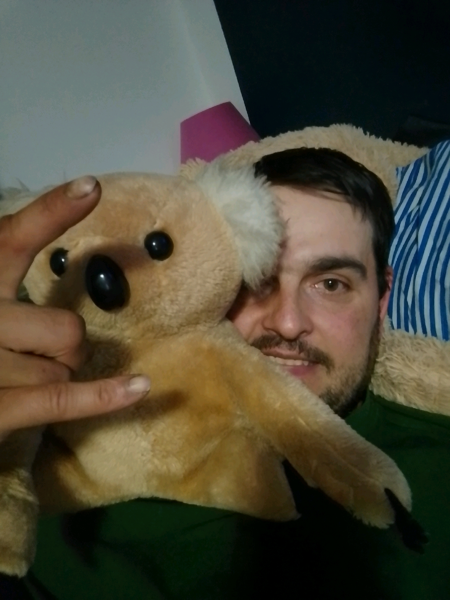 A medium shot shows a man and a koala stuffed animal. The man is on the right side of the frame, his face is partially obscured by the stuffed animal. He has dark hair, a mustache, and a beard. His left eye is visible and brown. The koala stuffed animal is on the left side of the frame, it is light brown with black eyes and a black nose. The man's right hand is visible and is holding up two fingers in a rock-on gesture. The stuffed animal's paw is also visible. The background is out of focus and appears to be a bedroom with a light blue and white striped pillow and a pink lampshade. The image was taken in the city of Wedel, Germany.
