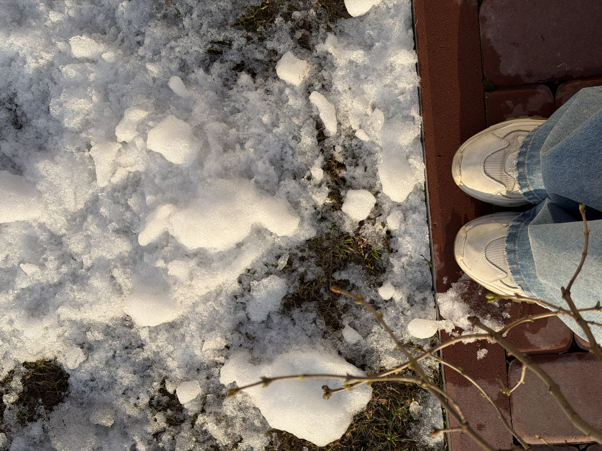 The scene is an outdoor environment, likely in early spring, as evidenced by the presence of melting snow on grass. The ground is partially covered in snow, with patches of grass visible underneath. There's a red brick pathway or border adjacent to the snowy area. A person is standing on the brick path, wearing light-wash denim jeans and white sneakers. A bare branch of a small tree or bush is also visible in the foreground. The location is identified as Ryazan, Russia.