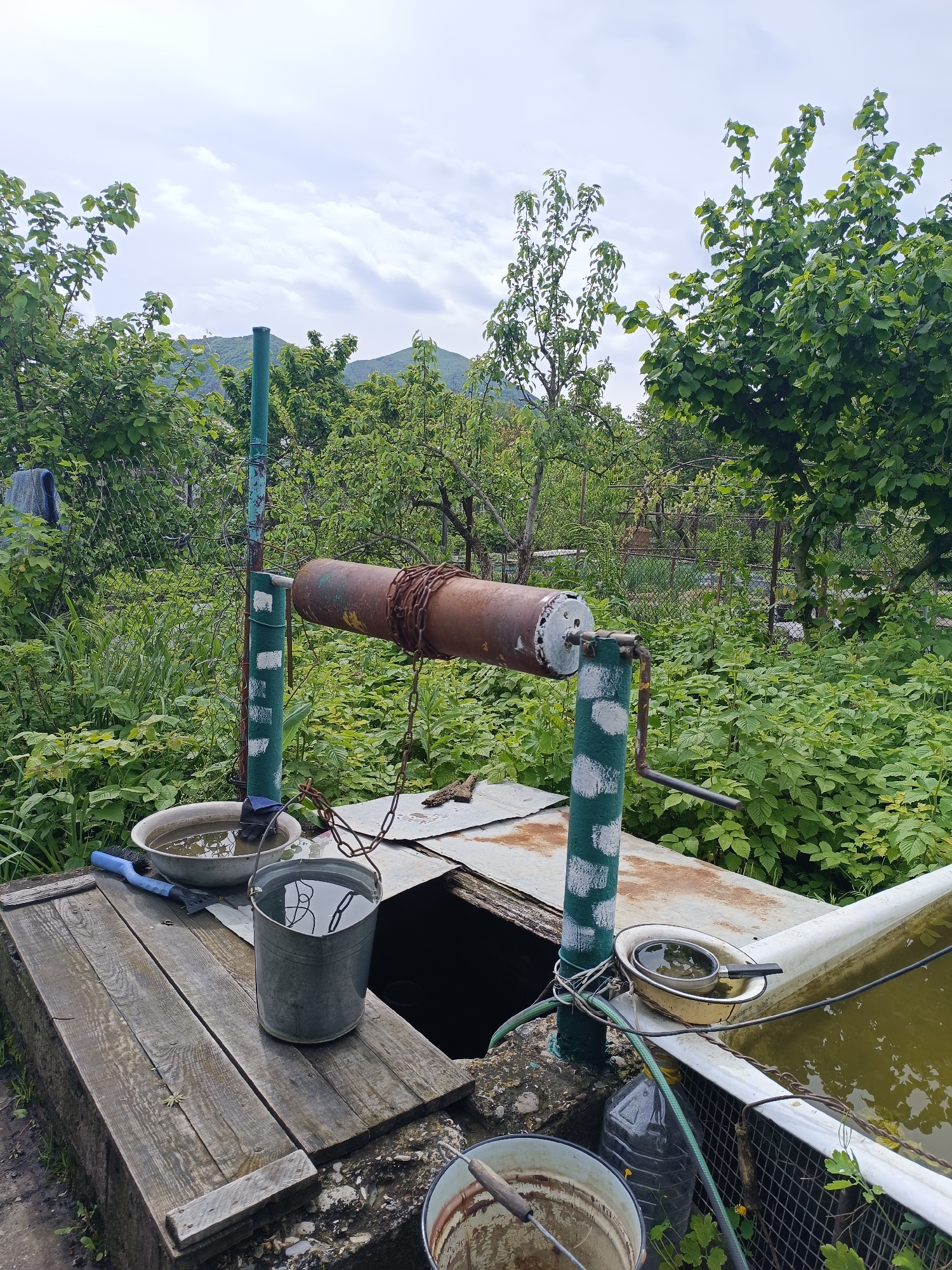 The image shows a water well in a lush, overgrown area. The well structure consists of a rusty metal pipe serving as a roller, supported by two green-painted vertical posts with white markings. A metal chain wraps around the pipe, connecting to a metal bucket filled with water, hanging above the well opening. The well itself is covered with a combination of metal sheeting and weathered wooden planks. A blue brush rests on the wooden surface near the bucket. A large white tub filled with green-tinged water sits to the right of the well, along with a dark-colored plastic bottle, and a small metal pan floats on the tub's surface. The surrounding environment is overgrown with various plants, bushes, and trees. A wire fence runs through the background. In the distance, a small mountain can be seen under a cloudy sky. The location is Ostrogorka, Russia.
