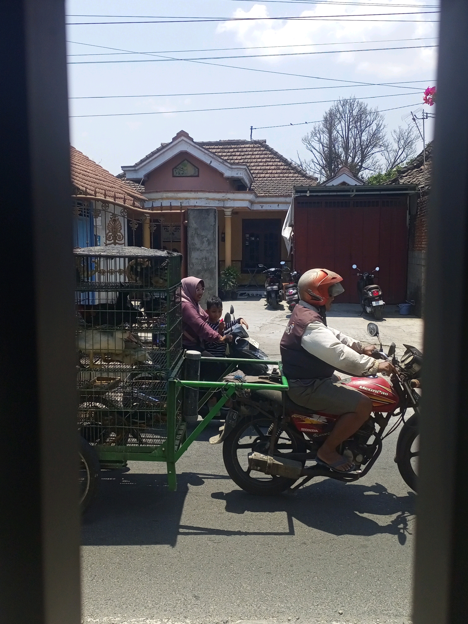 In Ngasem, Indonesia, a man wearing an orange helmet and a vest rides a red motorcycle with a side trailer carrying a large metal cage full of chickens. A woman in a pink headscarf and a boy in a striped shirt are on a separate motorcycle behind the cage. Several other motorcycles are parked nearby. The scene is set against a backdrop of houses with tiled roofs and a clear sky.