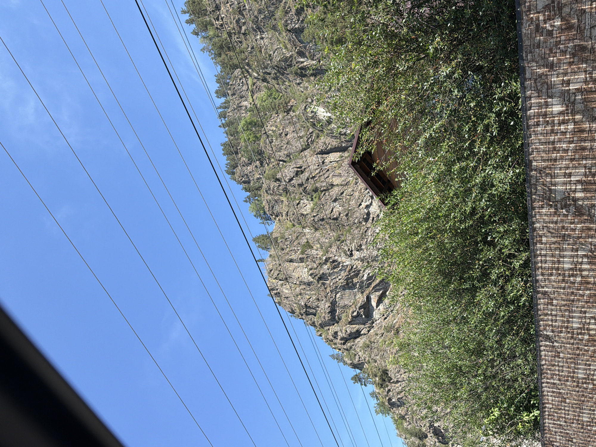 A telephoto shot captures a daytime scene dominated by a rugged mountain slope under a clear blue sky. Several power lines stretch horizontally across the frame, intersecting the sky and mountain. The mountain itself is characterized by steep, rocky faces with sparse patches of evergreen trees clinging to its upper reaches. In the foreground, a dense thicket of green bushes with small red berries obscures the lower part of the mountain. Partially visible behind the bushes is the dark brown, sloped roof of a wooden structure, suggesting a building nestled into the landscape. At the very bottom of the image, a textured, patterned fence constructed of stone-like materials runs horizontally. The overall impression is of a natural mountain environment with signs of human presence, likely a rural or semi-rural setting.