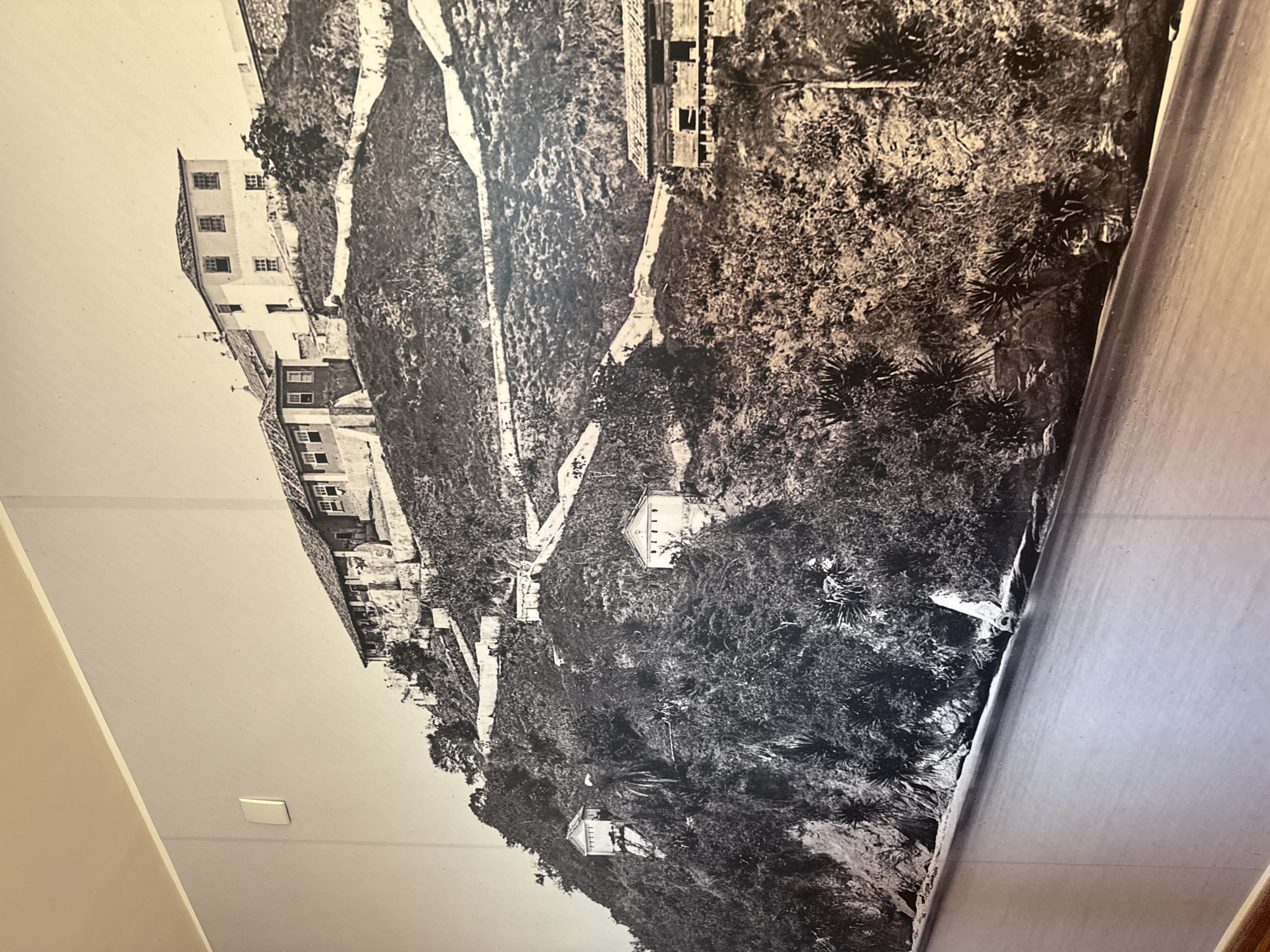 The image is a black and white photograph, likely a mural, depicting a sprawling historical complex situated on a steep hillside overlooking a body of water. The architecture suggests a colonial or early 20th-century style, with multiple buildings characterized by tiled roofs and whitewashed walls, some featuring prominent windows. The structures are strategically placed along winding paths and terraces that ascend the natural incline of the terrain, creating a picturesque and somewhat fortified appearance. The hillside is densely vegetated with trees, shrubs, and spiky plants, indicating a tropical or subtropical environment. The foreground of the image shows a calm body of water, possibly a bay or river, with a gentle shoreline where a large piece of driftwood rests. On the left wall of the room where the mural is displayed, a white electrical switch is visible, breaking the illusion of the photograph as a self-contained scene. This mural is located in the historic city of Niterói, Brazil, specifically depicting the Morro de São Louboutin, also known as the Fortaleza de Santa Cruz da Barra, a significant historical fortification that has undergone various developments over centuries, transforming into a multifaceted complex with chapels, barracks, and administrative buildings.