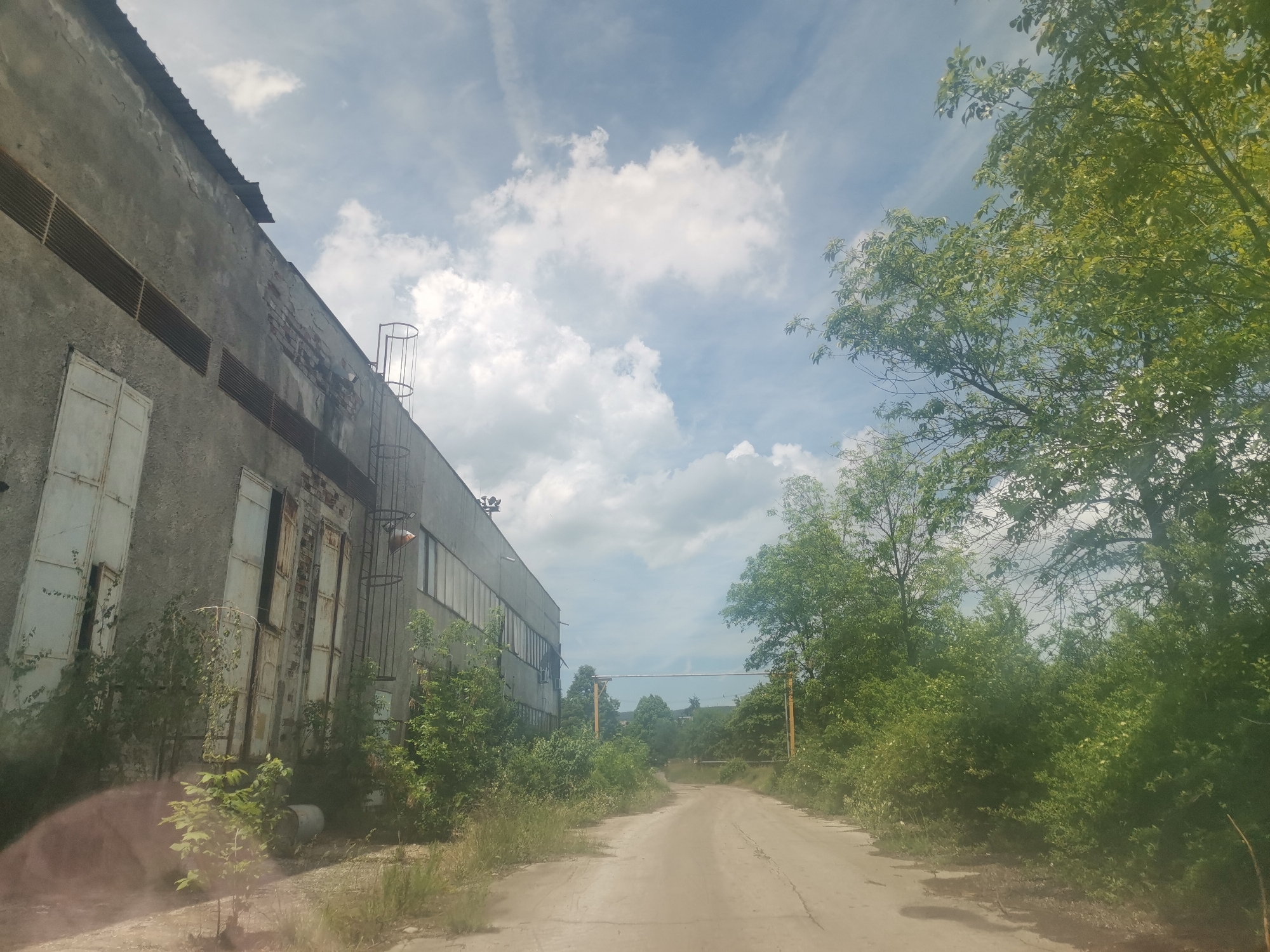 The image depicts a rural or semi-industrial landscape in Zhivkovo, Bulgaria, under a bright, cloudy sky. A large, weathered concrete building occupies the left side of the frame, showing significant signs of decay with peeling plaster, exposed brickwork, and horizontal ventilation grates. Several tall, narrow openings, likely former doors or windows, are covered with faded white metal panels. A caged ladder ascends the right side of the building's visible facade.
An unpaved dirt road, appearing cracked and worn, extends from the foreground and gently curves into the distance towards the right side of the frame. Abundant, vibrant green trees and dense bushes flank both sides of the road and surround the building, suggesting an overgrown and naturalized environment. In the background, a horizontal pipe structure spans across the road, indicating remnants of old infrastructure. The sky above features scattered white cumulus clouds against a light blue backdrop. A subtle glare in the bottom-left corner of the image suggests it was captured through a window, possibly a vehicle windshield. No people are visible, and there is no discernible text in the scene.