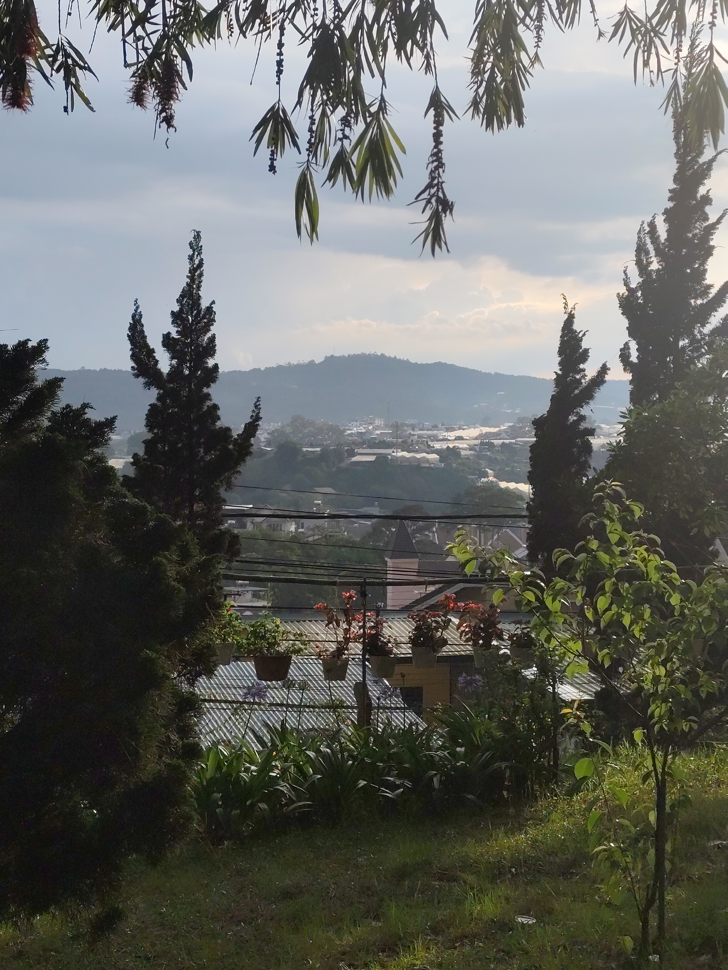 The image depicts a view overlooking the city of Cam Ly, Đà Lạt, Vietnam. The foreground features a grassy slope with various plants and trees. In the midground, a building with a corrugated metal roof and hanging flower pots is visible. Utility lines stretch across the frame. The background shows a cityscape with buildings and structures spread across the landscape, with hills in the distance and a cloudy sky overhead. The scene is framed by foliage in the foreground and at the top of the image.