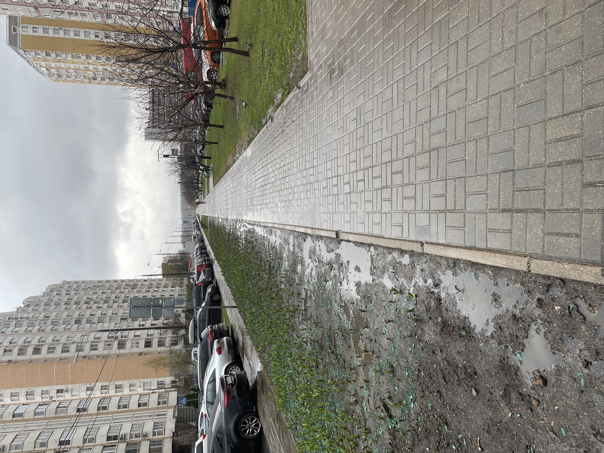The image shows a street scene in Moskovskiy, Russia. On the left side are tall, multi-story residential buildings with numerous windows. Parked along the curb is a row of cars of various colors, including black, white, red, and silver. Adjacent to the cars is a narrow strip of land covered in dark, muddy soil with small green sprouts emerging from it; the ground is also waterlogged with puddles. To the right of the soil strip, there is a concrete curb, and then a wide sidewalk paved with gray rectangular blocks. Beyond the sidewalk, on the right side of the image, is a narrow strip of green grass with a few trees, leading to more parked cars and distant buildings. The sky is overcast with gray clouds, indicating a possibly rainy or wet weather condition. The perspective of the image is from a slightly elevated point, looking along the length of the street. The image is vertically oriented.
