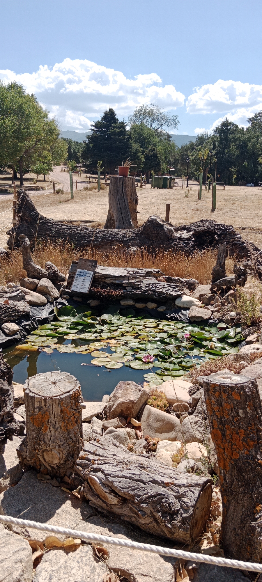 The image depicts an outdoor scene with a pond filled with water lilies in the foreground. The pond is surrounded by rocks and several weathered logs, some of which are standing upright as if used for seating. A larger, fallen log forms a prominent feature behind the pond. To the left and right of the pond, there are tree stumps with rough bark, one of which has orange lichen. In the background, a dry, grassy area stretches out, dotted with trees and shrubs. There are also some wooden posts and possibly picnic tables visible in the distance. The sky is blue with scattered white clouds. A sign with text and images is placed on a log above the pond. The scene appears to be in a natural or park-like setting. Based on the provided information, the location is in the city of Cerezo de Abajo, Spain. There are no people visible in the image. The overall impression is one of a rustic, tranquil outdoor space.