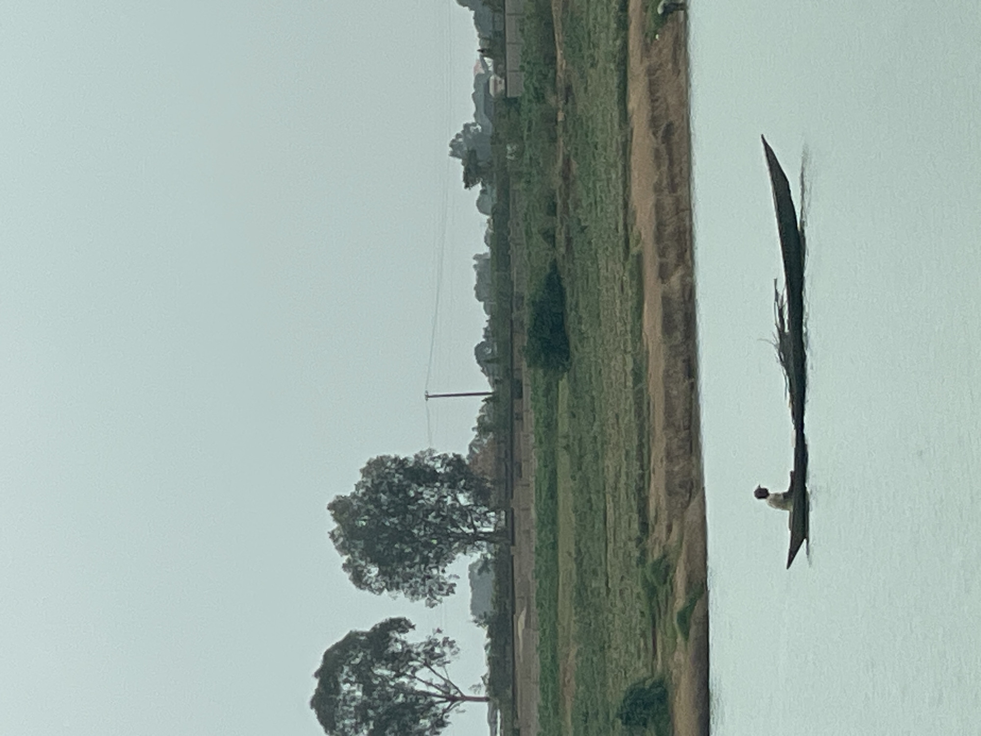 The image depicts a body of water in Nabatum, Nigeria. A person is in a long, narrow boat or canoe on the water. The shoreline consists of a grassy area that transitions to a sandy bank and a few trees are on the shoreline. Overhead power lines can be seen in the background. The sky is overcast, and the light is flat.