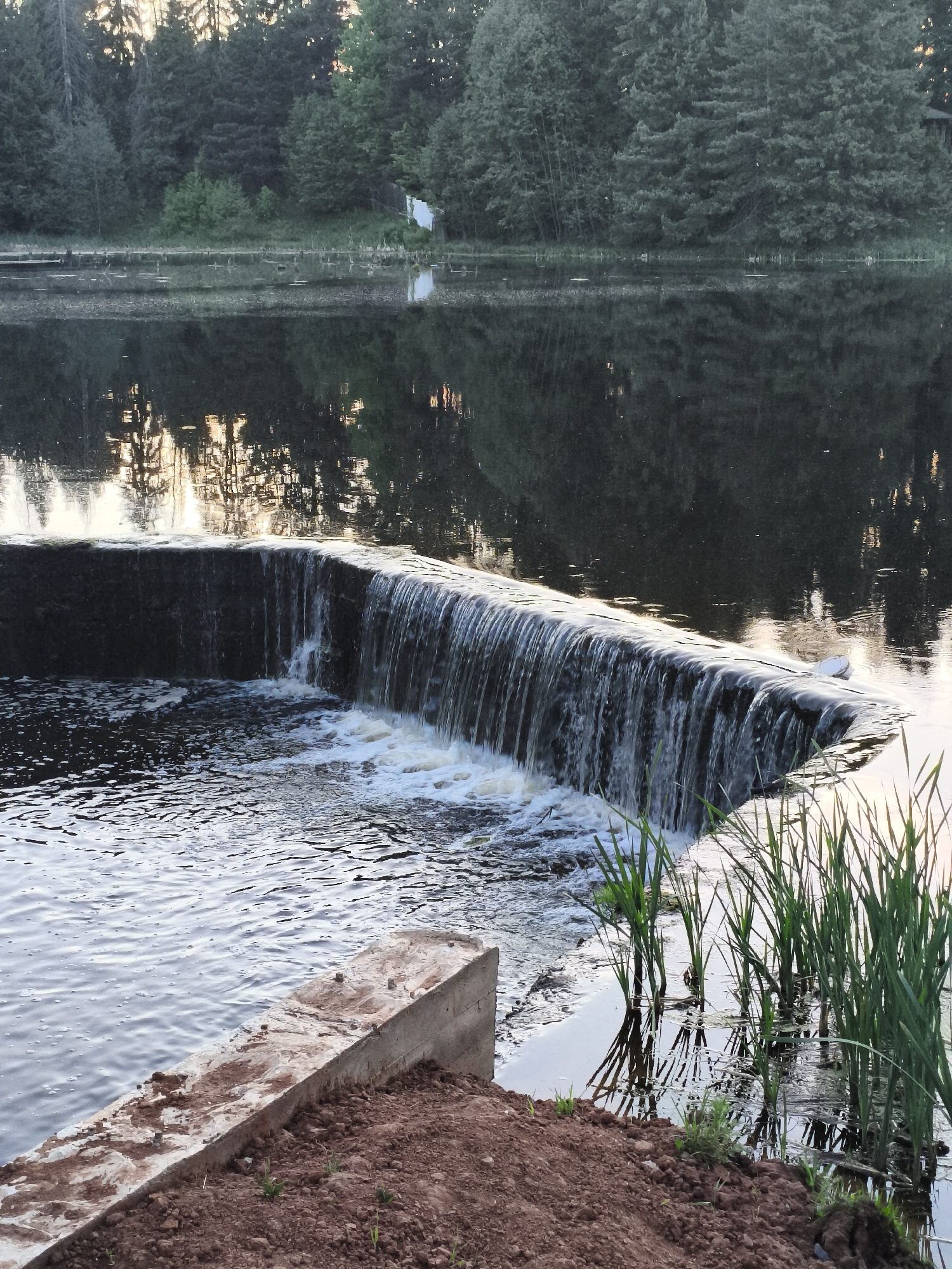 A wide-angle shot shows a small man-made waterfall cascading over a dark grey concrete structure into a calm body of water. The water surface reflects the dark green trees lining the opposite shore, creating a mirror-like effect with streaks of light suggesting the sun setting behind the trees. Tall green reeds grow along the water's edge on the right side of the frame. In the foreground, newly turned reddish-brown soil is visible near a concrete block partially submerged in the water.
While the image can be identified with similar landscapes, there is not enough information to definitively confirm that this image is of Russkii Vozhoi, Russia.