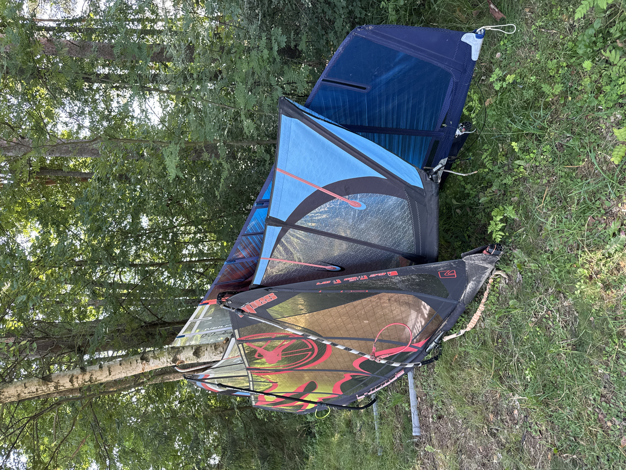 This image depicts several windsurfing sails propped up against a tree in a grassy area with a dense forest in the background. The sails are colorful, with the closest one featuring black, pink, and yellow graphics, and another sail being primarily blue. They appear to be in a resting or storage state, not actively in use. The environment suggests an outdoor location, possibly near a body of water, which is common for windsurfing activities. The lighting indicates it is daytime, with sunlight filtering through the trees. There are no people visible in the image. The location is Zelenaya Roshcha, Russia, a place known for its natural surroundings and recreational opportunities.