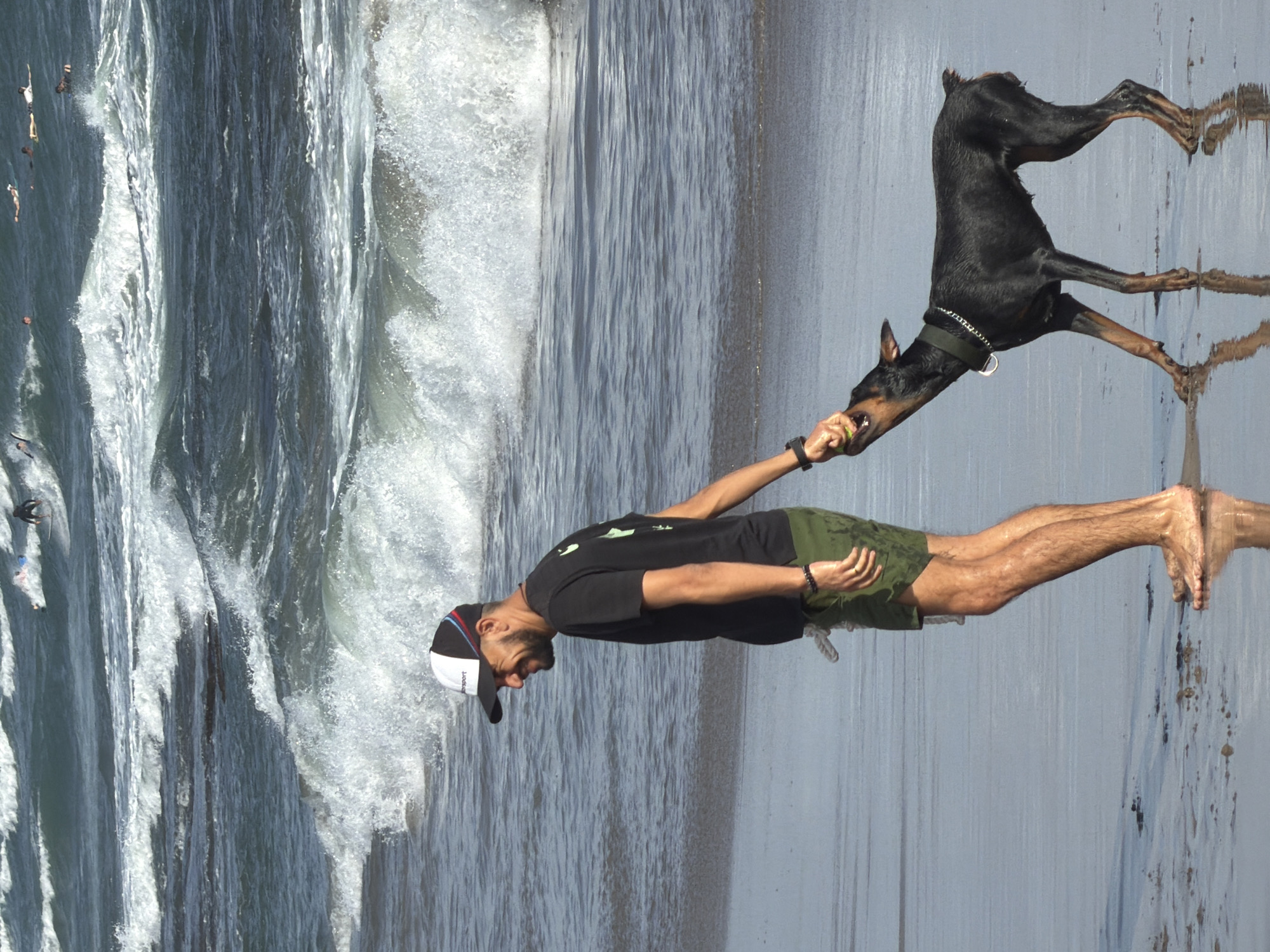In North Kuta, Indonesia, a man and his Doberman play fetch in the ocean. The man, wearing a black t-shirt, green shorts, and a black and white baseball cap, is captured mid-stride as he throws a ball. His dog, a black Doberman with a silver chain collar, leaps through the air to catch it, its body stretched out in a dynamic pose. The dog's mouth is open, ready to receive the ball, while the man's hand is extended, having just released it.
The scene is set against the backdrop of crashing waves, with the water appearing a deep blue-grey. The sunlight reflects off the wet sand and the water, suggesting it is daytime, possibly late afternoon or early evening given the angle of the light. The overall mood is one of playful interaction and joy between the man and his canine companion. The image is oriented vertically, with the subjects appearing to be moving across the frame from left to right.