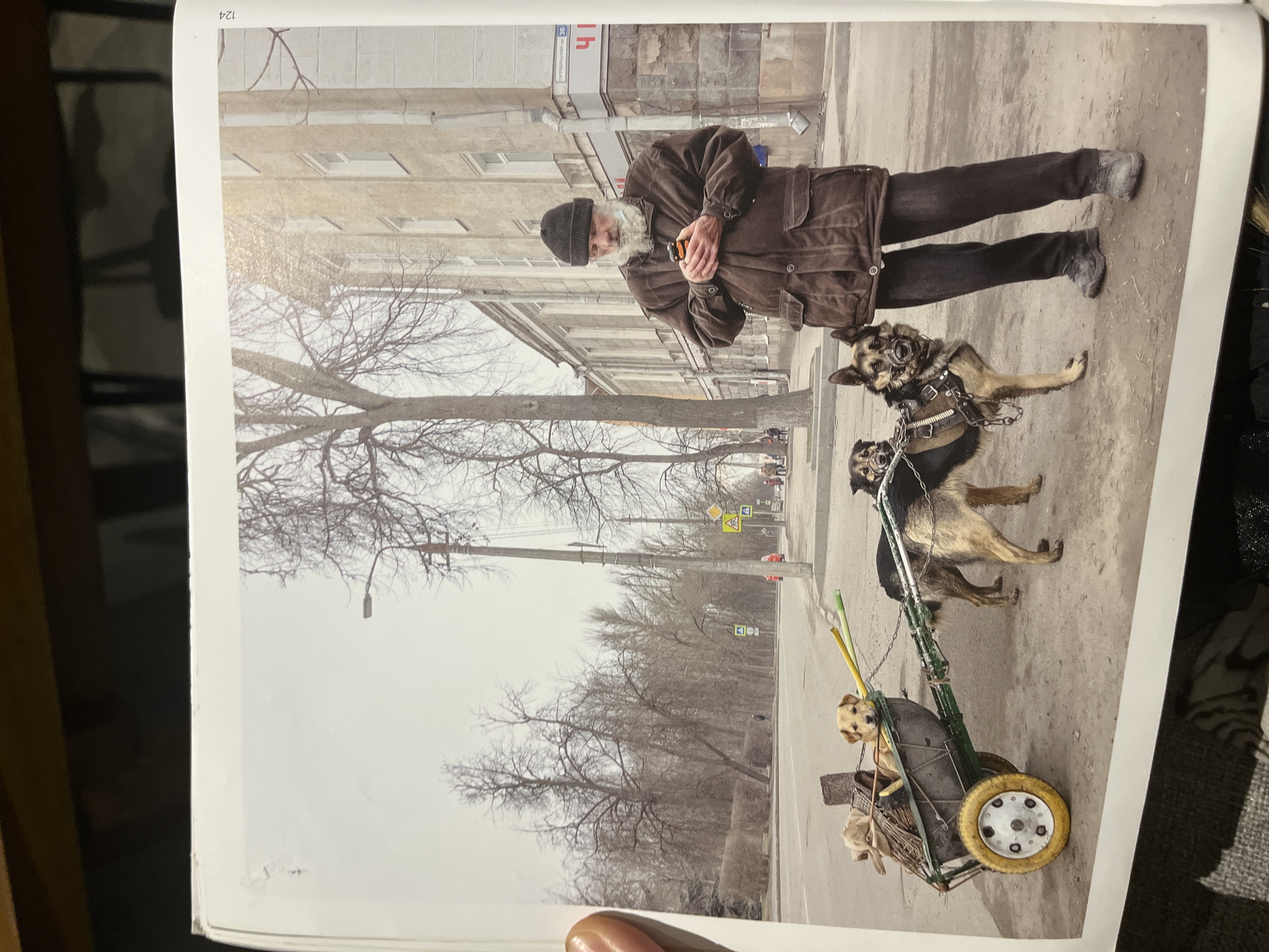 The image shows a man with a grey beard and a black hat, wearing a brown jacket and dark pants, standing on a sidewalk next to a building. He is holding a small object in his hands. Two dogs on leashes stand next to him, one wearing a muzzle. Behind the dogs is a small cart containing at least two smaller dogs. The background includes a city street with bare trees, traffic lights, and buildings. The location is not Ubud District, Indonesia.