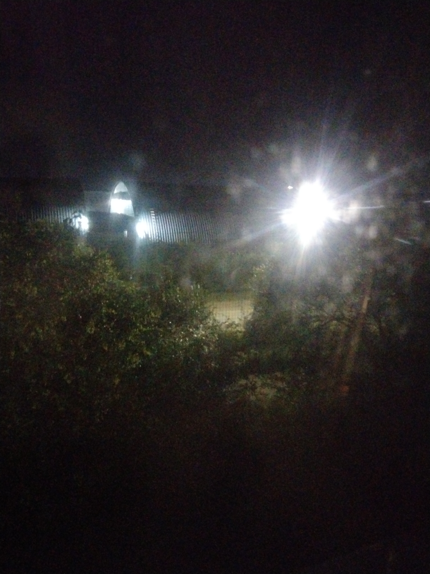 The image captures a nighttime scene in Ulan-Ude, Russia, likely from a moving vehicle. In the background, a building with a corrugated metal roof and an arched entrance is visible, illuminated by bright interior lights. The building is bordered by a vertical metal fence. In the foreground, dense, dark foliage obscures much of the lower half of the image. A bright, intensely lit object, possibly headlights or a strong lamp, creates a significant lens flare effect, washing out a portion of the scene and obscuring details. The overall atmosphere is dark and indistinct, suggesting a low-light photographic condition.