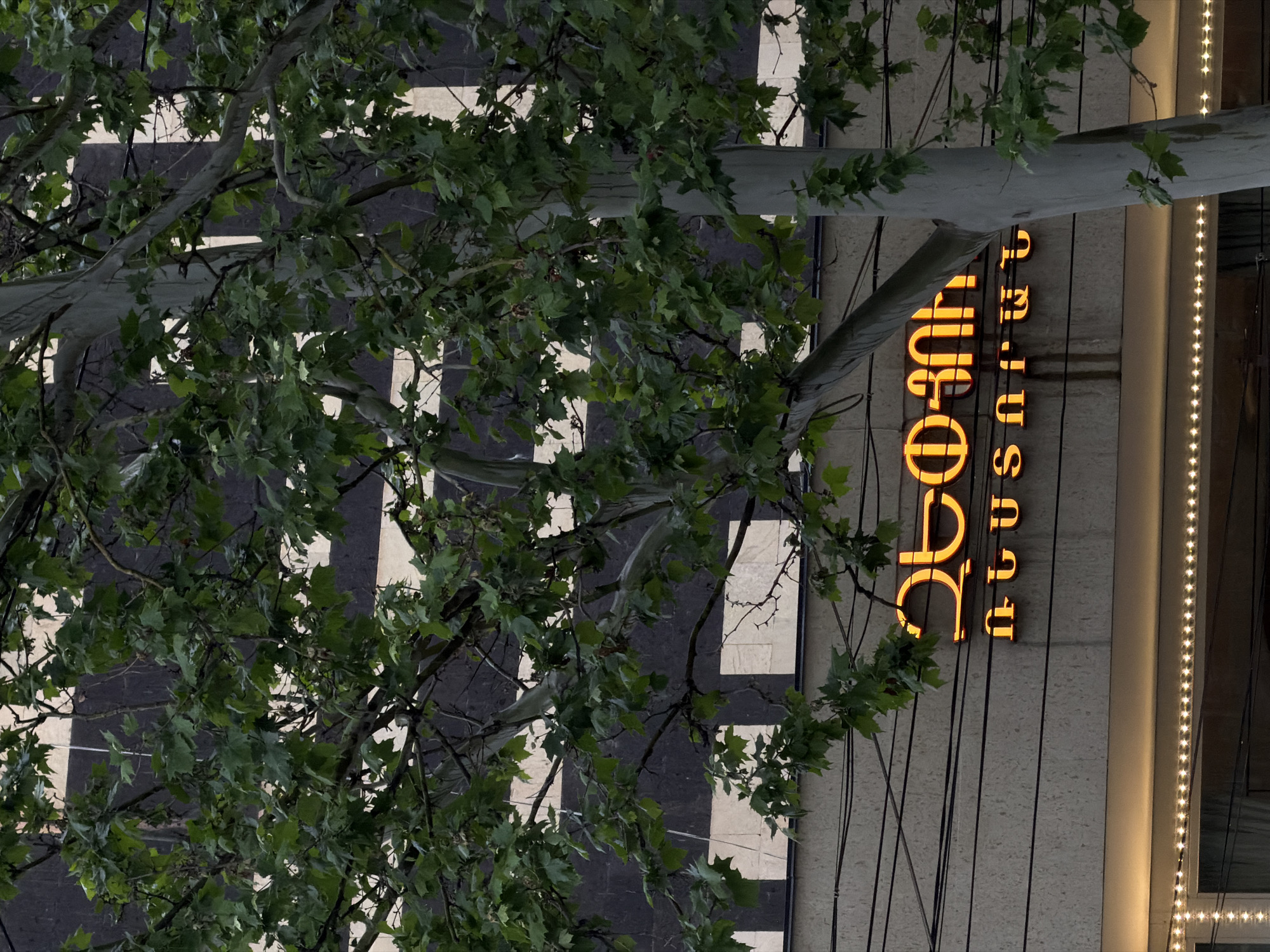 A low-angle shot looking up captures a building in Yerevan, Armenia, partially obscured by a tree. The building's facade features vertical stripes and a lighted sign with orange Armenian script. A string of lights runs down the building's side. The tree's trunk and branches extend across the view, with green leaves visible. The architectural style suggests an urban environment.