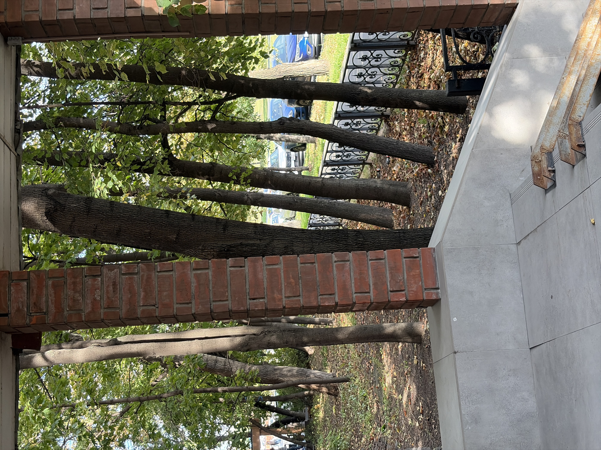 The image depicts an outdoor scene, likely in a park or residential area in Moscow, Russia, as indicated by the presence of deciduous trees, a decorative metal fence, and parked cars typical of the region. In the foreground, a tiled walkway or patio area is visible, with a short ramp constructed from rusty metal bars attached to the tiled surface. A brick column, part of a building structure, stands to the right, and another brick structure is partially visible on the far right edge of the frame. Beyond the immediate foreground, several trees with lush green foliage and bare trunks are scattered across the area. A black metal fence with an ornate, swirling pattern runs horizontally across the middle ground. Behind the fence, several cars are parked on what appears to be a paved surface or street. The ground in the middle ground is covered with fallen leaves, suggesting it is autumn. The lighting indicates it is daytime, with sunlight filtering through the trees, creating dappled shadows. No people are clearly visible in the main part of the image, though a blurred figure can be seen in the far background to the left.