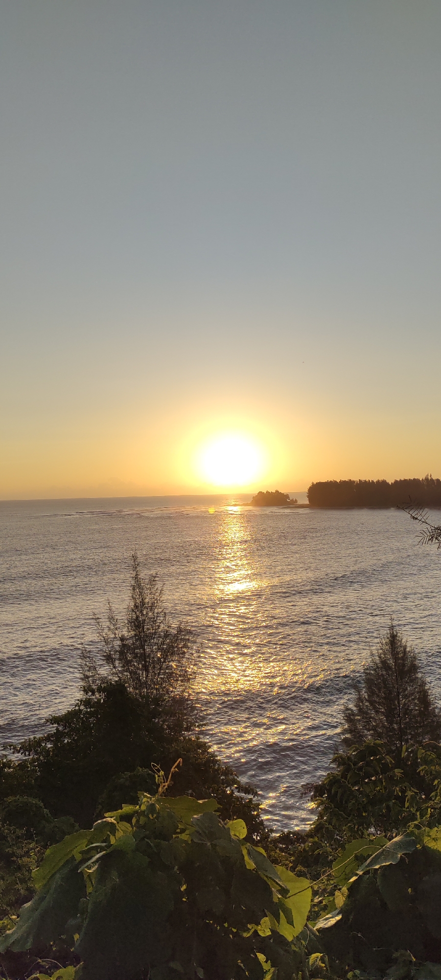 This image captures a sunset over the ocean in Crakmong, Indonesia. The sun, a brilliant orb of yellow and white, is positioned near the horizon, casting a shimmering golden path across the water. To the right, a dense line of trees forms the coastline, with a small rocky island visible in the distance. In the foreground, lush green foliage partially obscures the view of the sea. The sky transitions from a pale blue at the top to a warm yellow near the horizon. The water appears calm with gentle waves. The scene is serene and natural, depicting a coastal landscape at dusk.